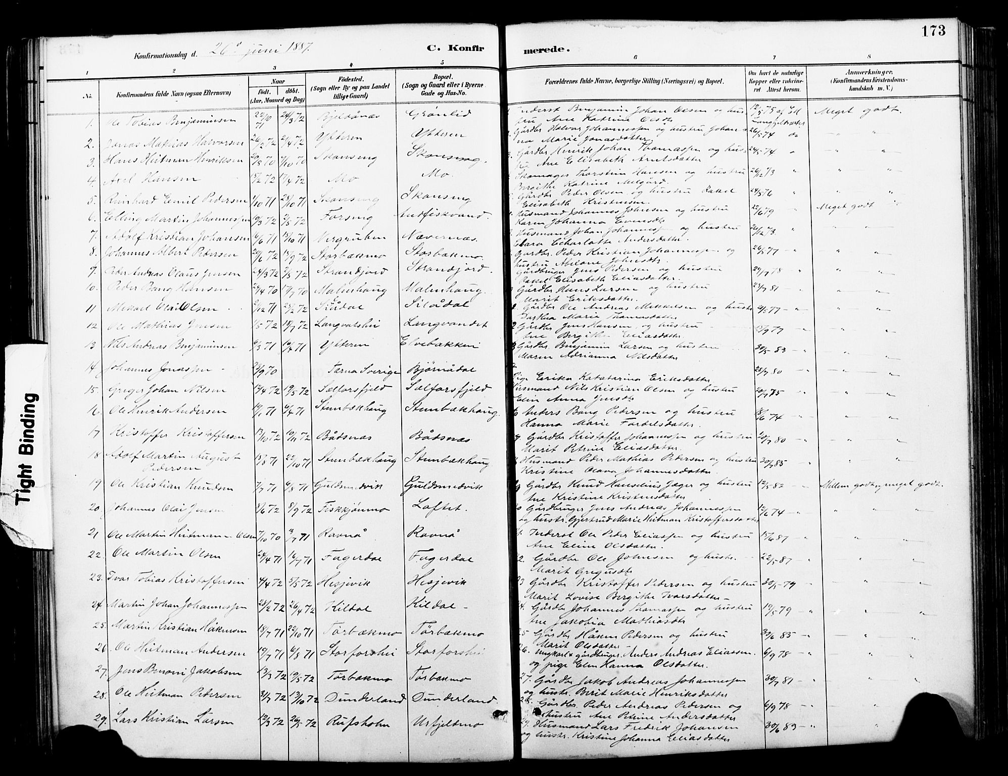 Ministerialprotokoller, klokkerbøker og fødselsregistre - Nordland, AV/SAT-A-1459/827/L0421: Parish register (copy) no. 827C10, 1887-1906, p. 173