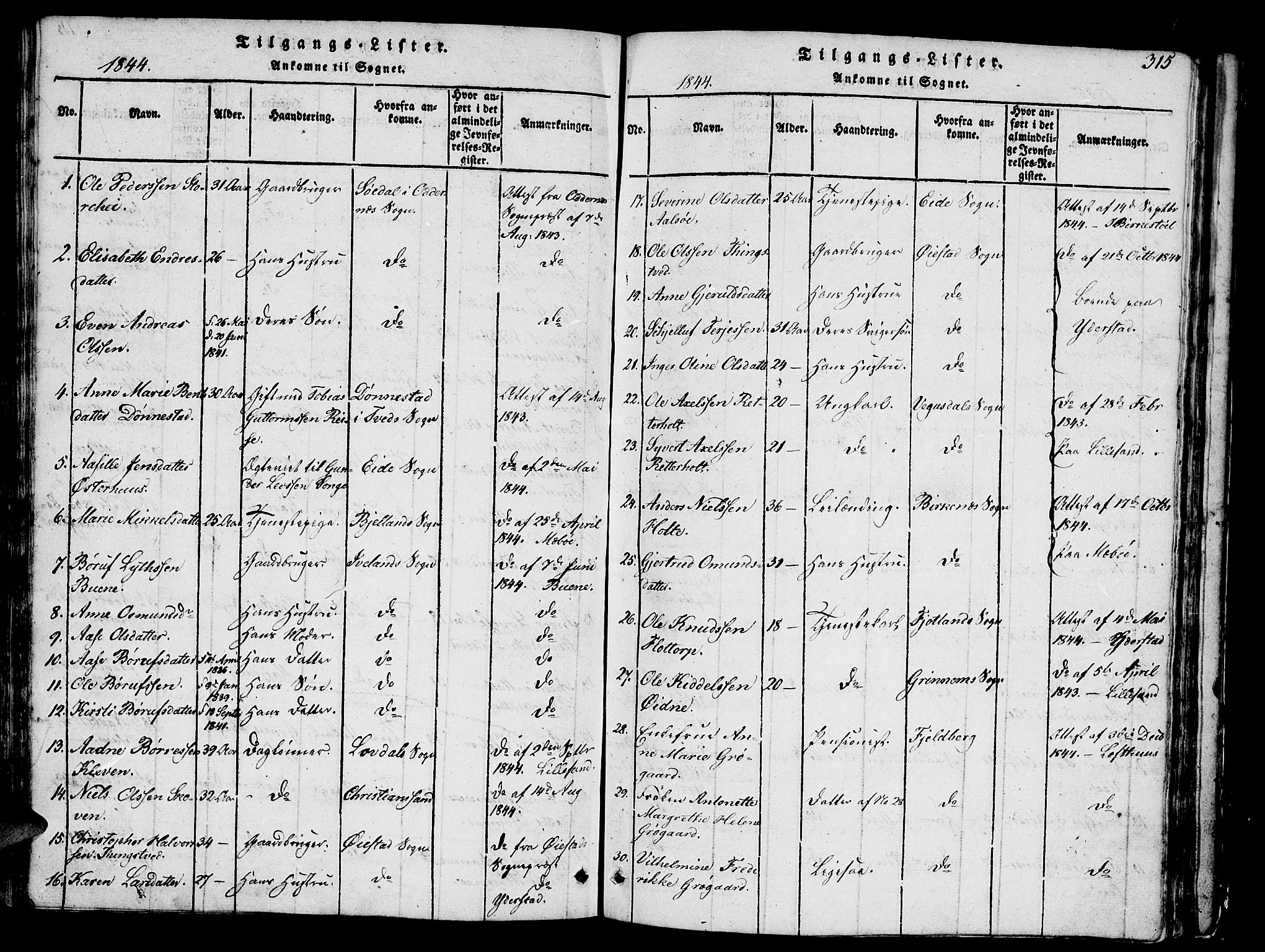 Vestre Moland sokneprestkontor, AV/SAK-1111-0046/F/Fb/Fbb/L0001: Parish register (copy) no. B 1, 1816-1851, p. 315