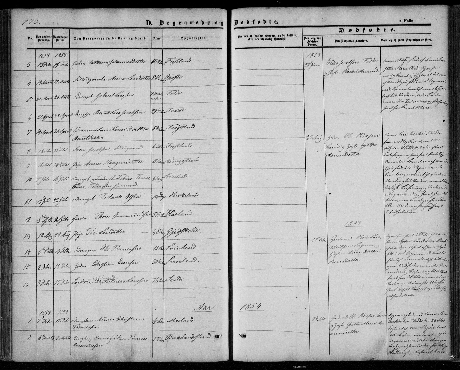 Kvinesdal sokneprestkontor, AV/SAK-1111-0026/F/Fa/Faa/L0002: Parish register (official) no. A 2, 1850-1876, p. 173