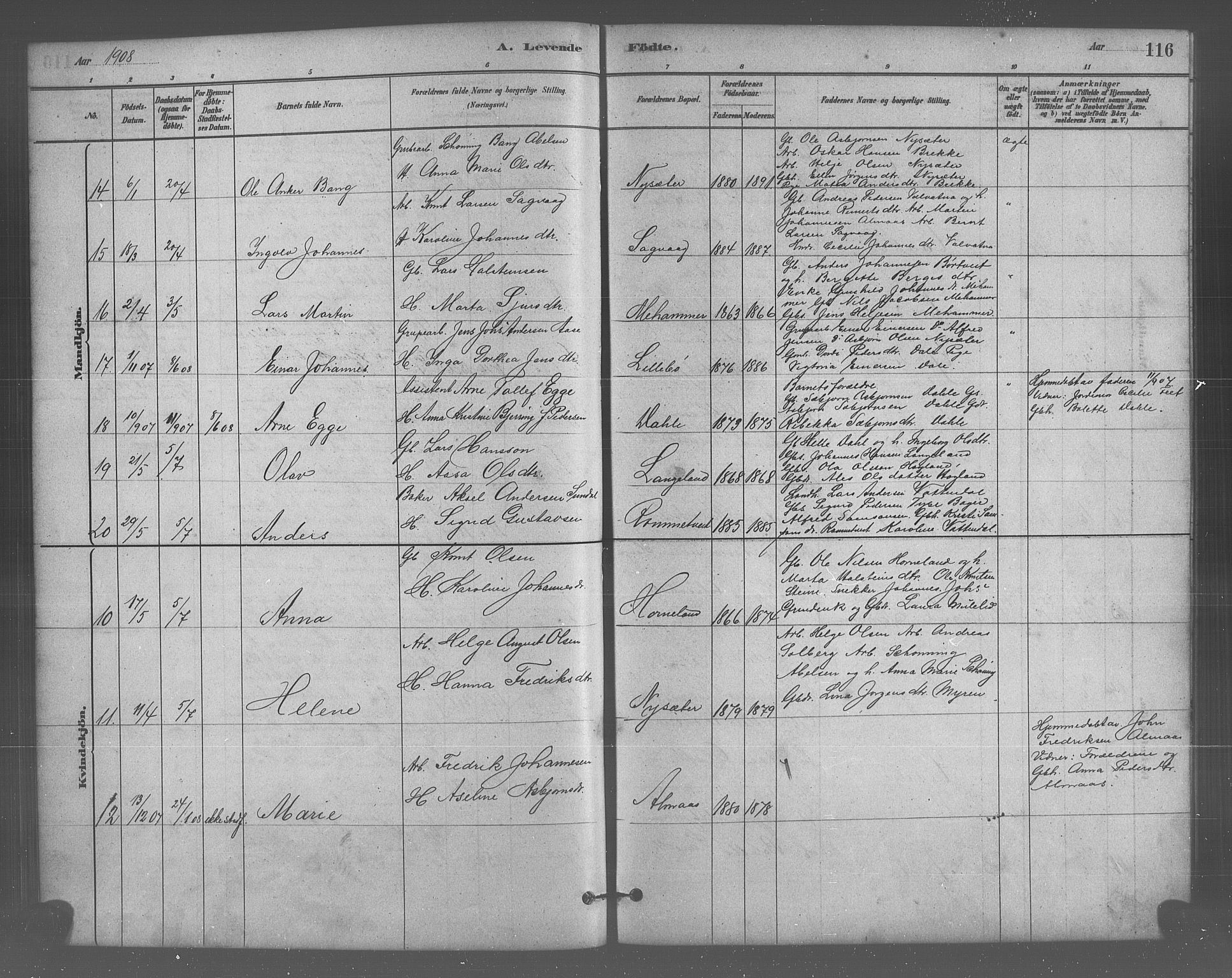 Stord sokneprestembete, AV/SAB-A-78201/H/Hab: Parish register (copy) no. A 2, 1879-1909, p. 116