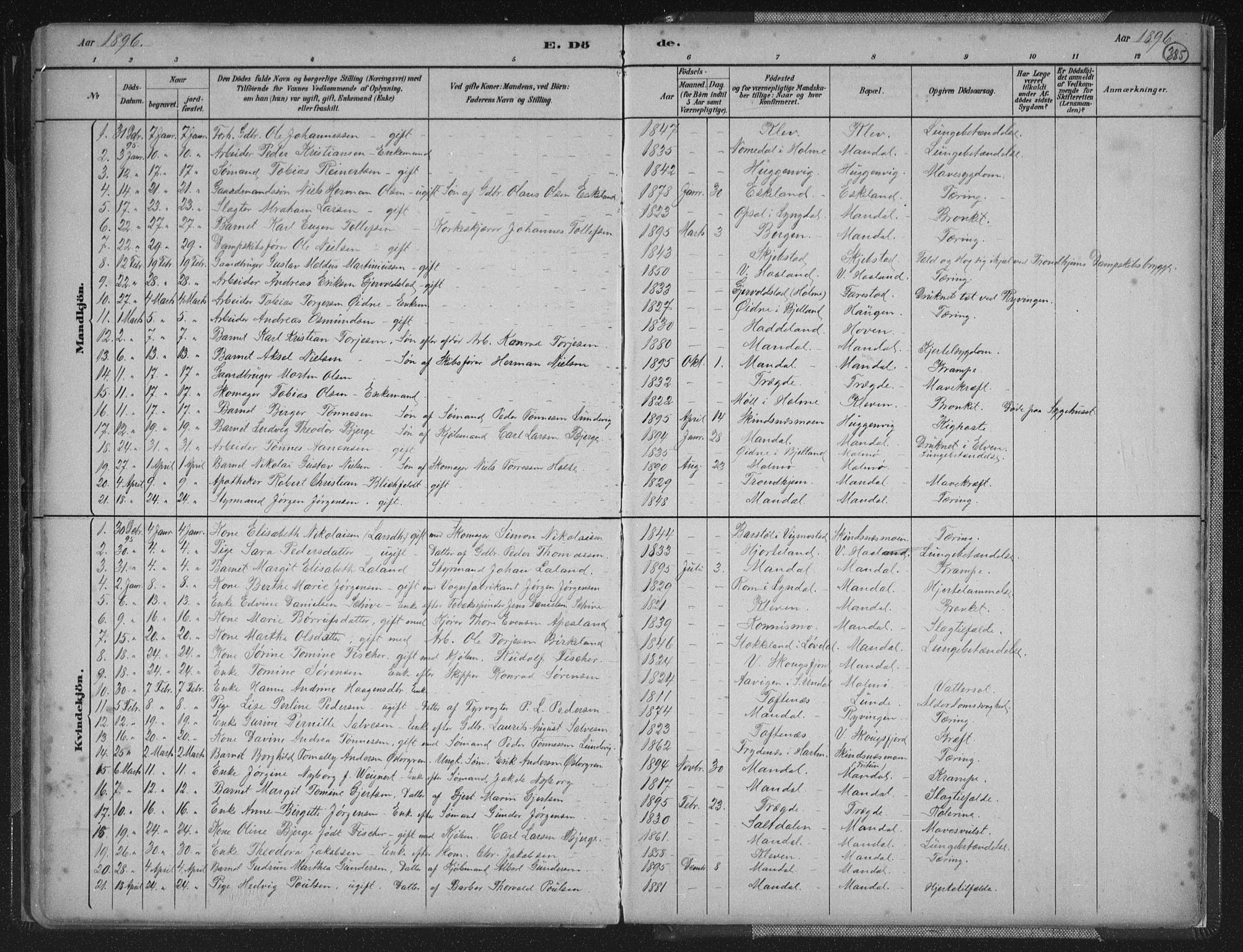 Mandal sokneprestkontor, SAK/1111-0030/F/Fb/Fba/L0011: Parish register (copy) no. B 5, 1880-1898, p. 385