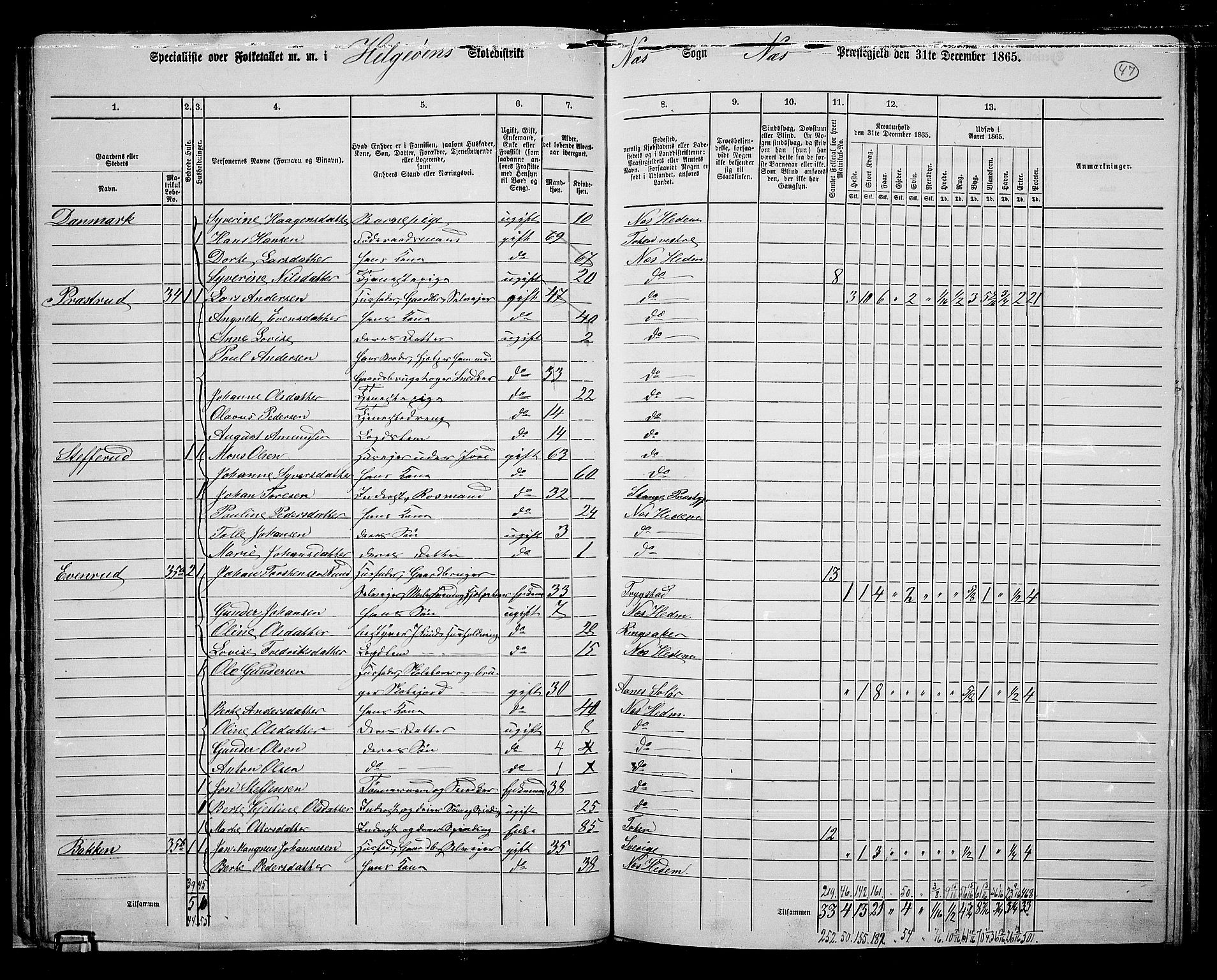 RA, 1865 census for Nes, 1865, p. 40