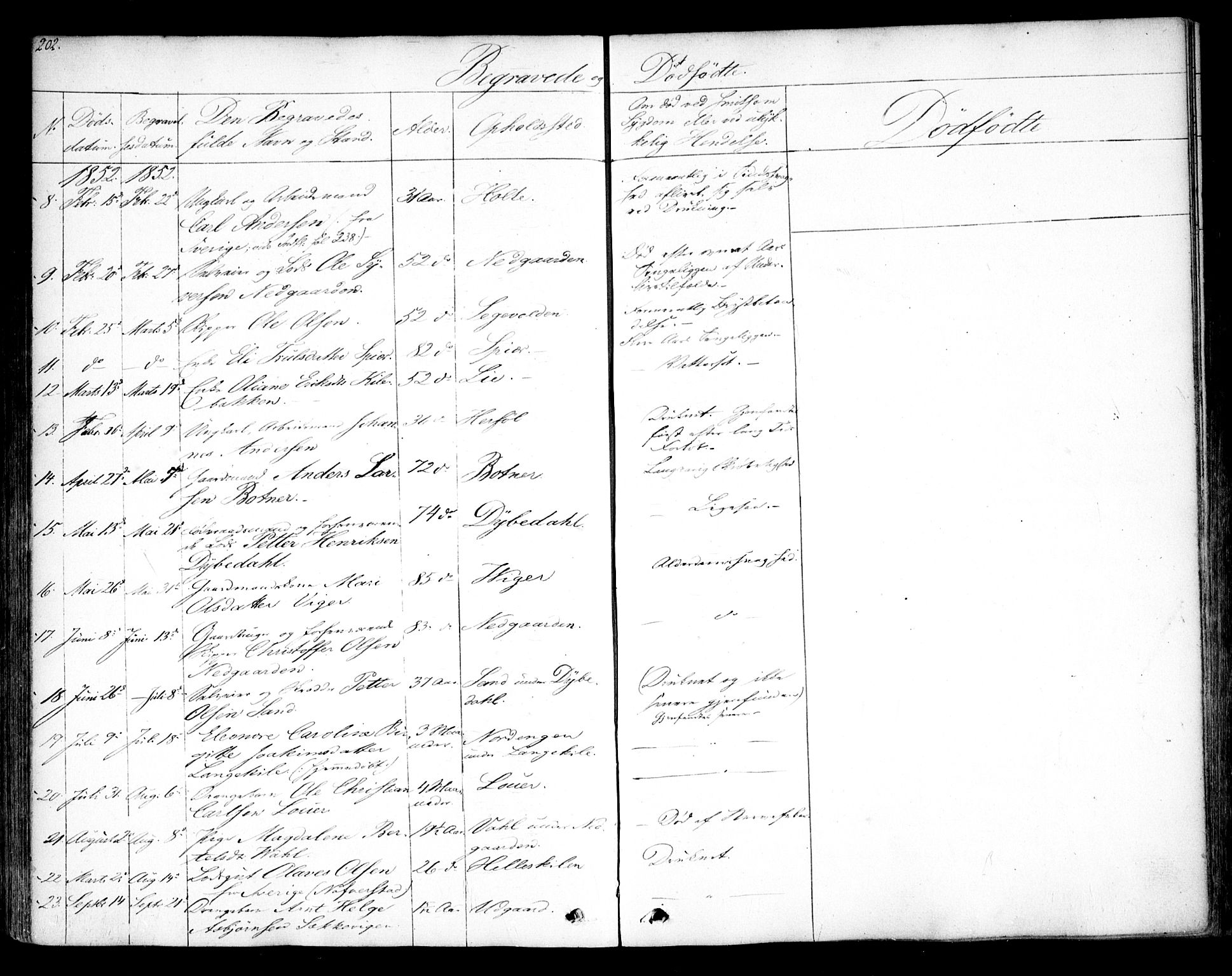 Hvaler prestekontor Kirkebøker, AV/SAO-A-2001/F/Fa/L0006: Parish register (official) no. I 6, 1846-1863, p. 202