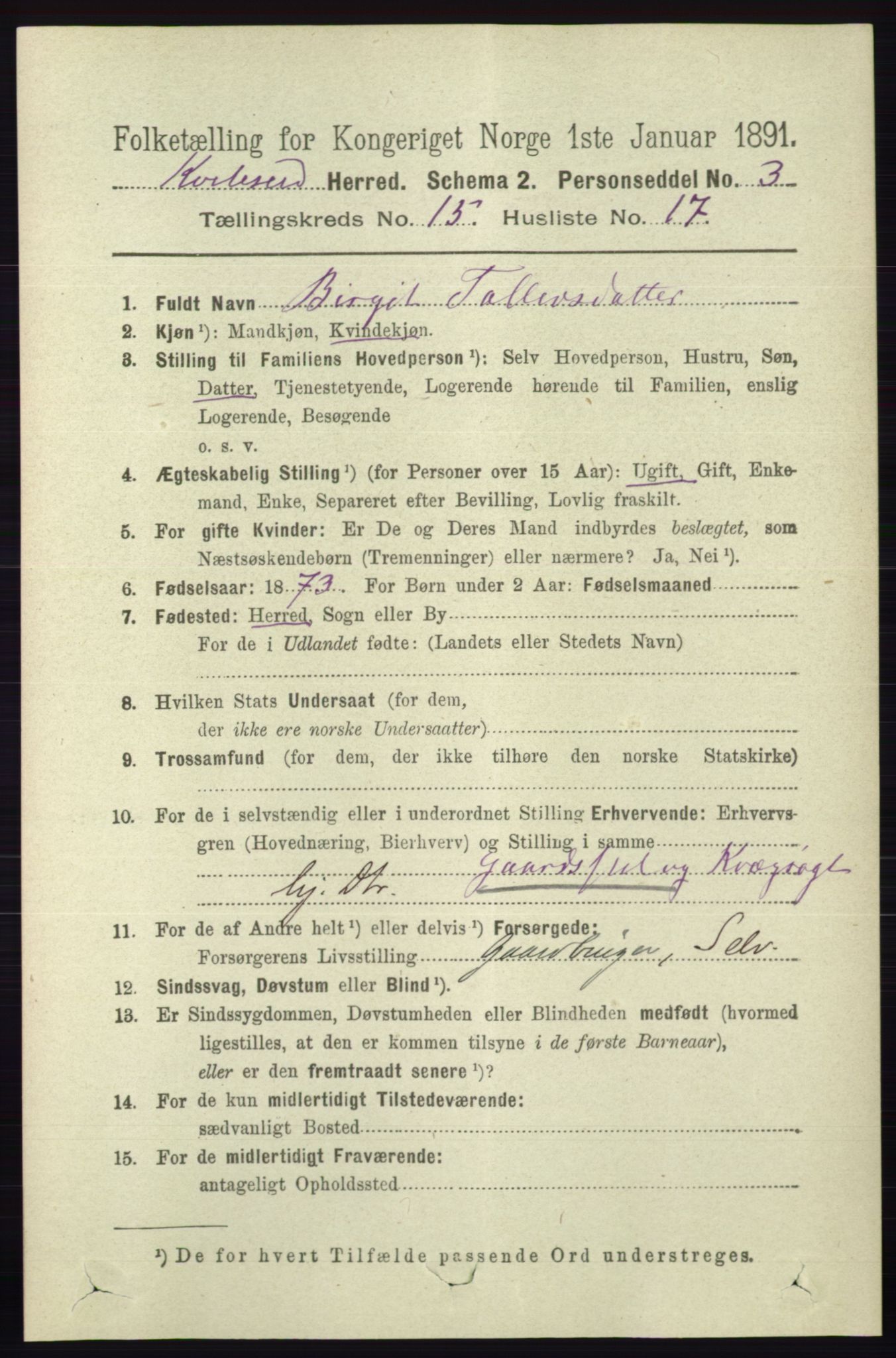 RA, 1891 census for 0829 Kviteseid, 1891, p. 3607