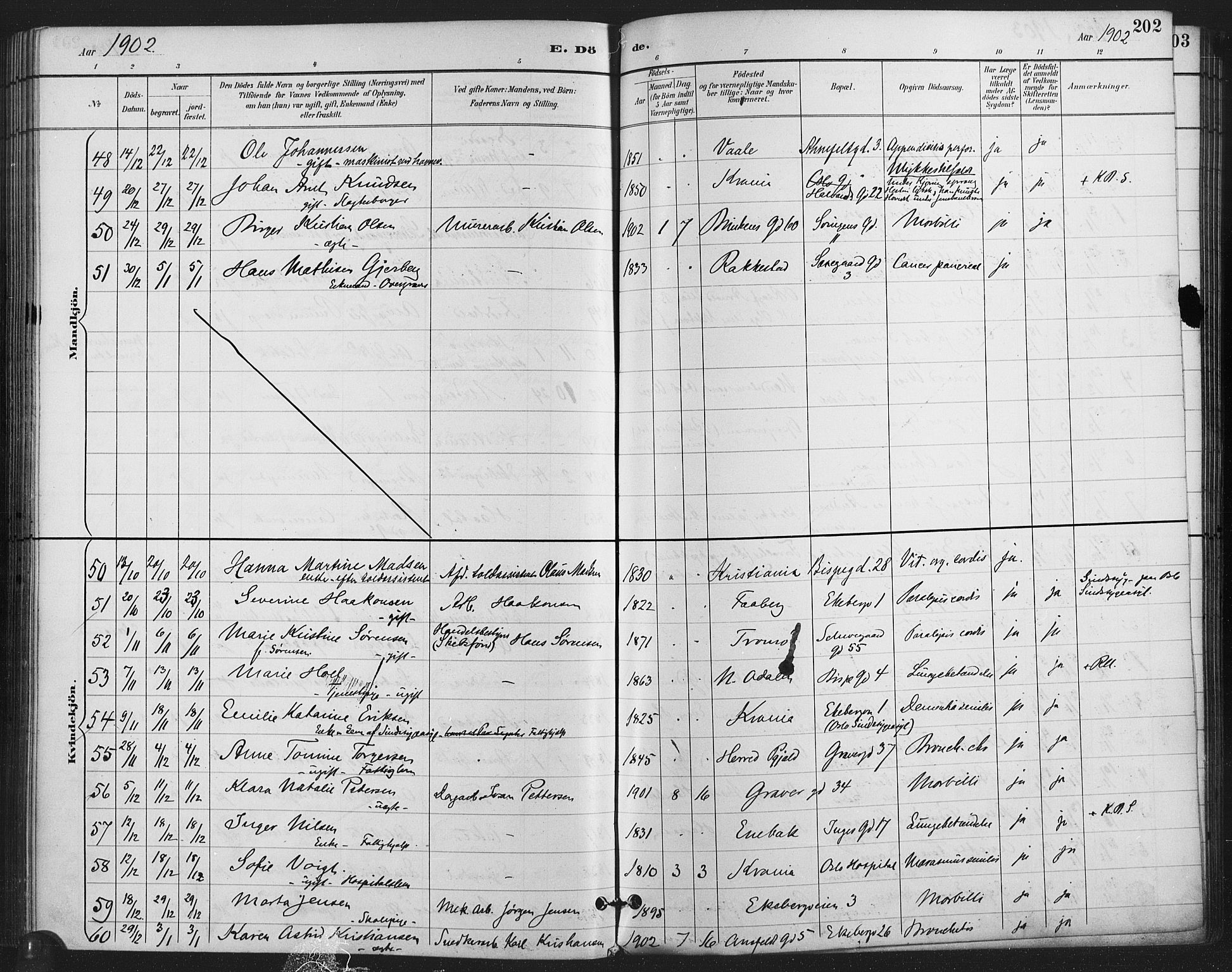 Gamlebyen prestekontor Kirkebøker, AV/SAO-A-10884/F/Fa/L0009: Parish register (official) no. 9, 1888-1909, p. 202