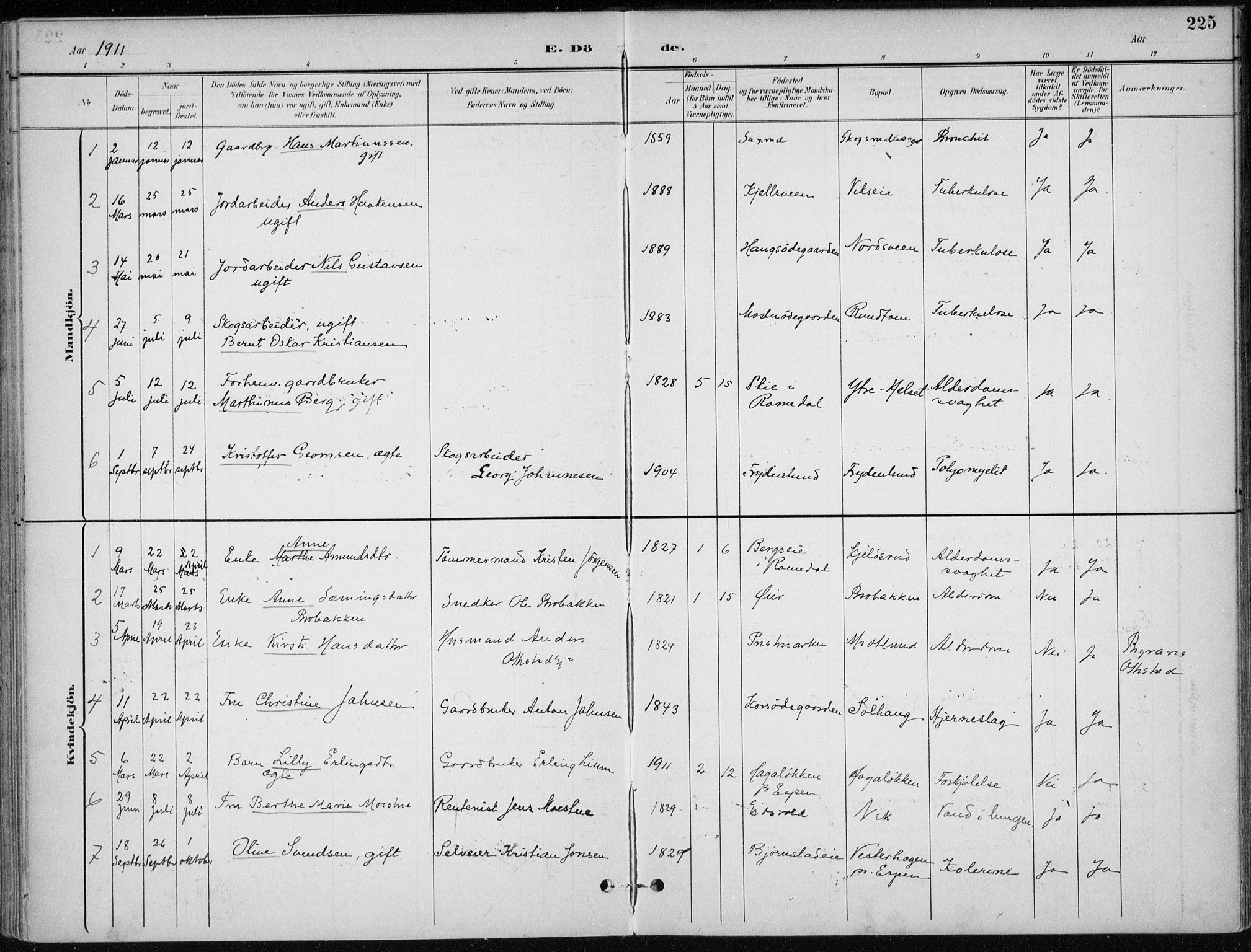 Stange prestekontor, SAH/PREST-002/K/L0023: Parish register (official) no. 23, 1897-1920, p. 225