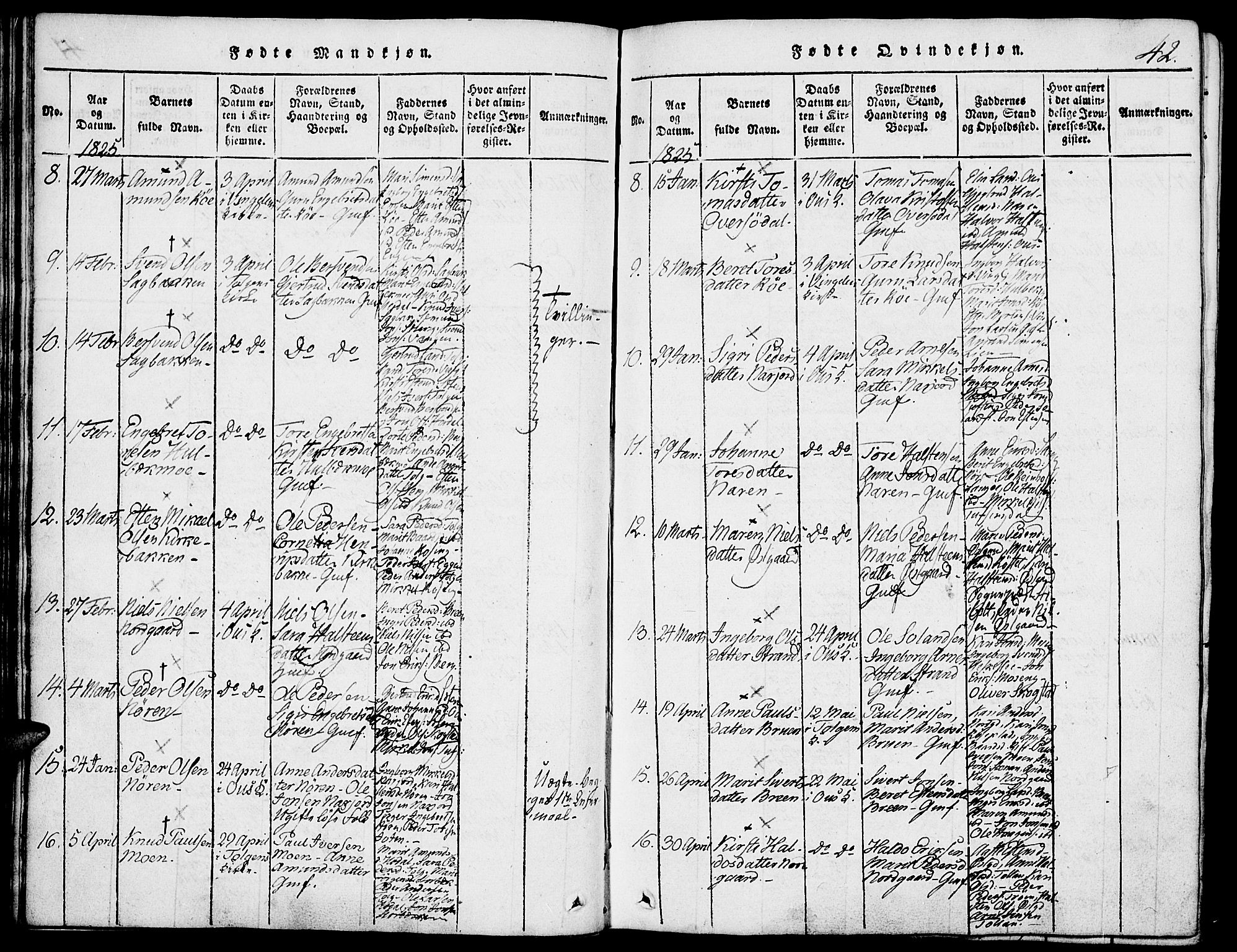 Tolga prestekontor, SAH/PREST-062/K/L0004: Parish register (official) no. 4, 1815-1836, p. 42