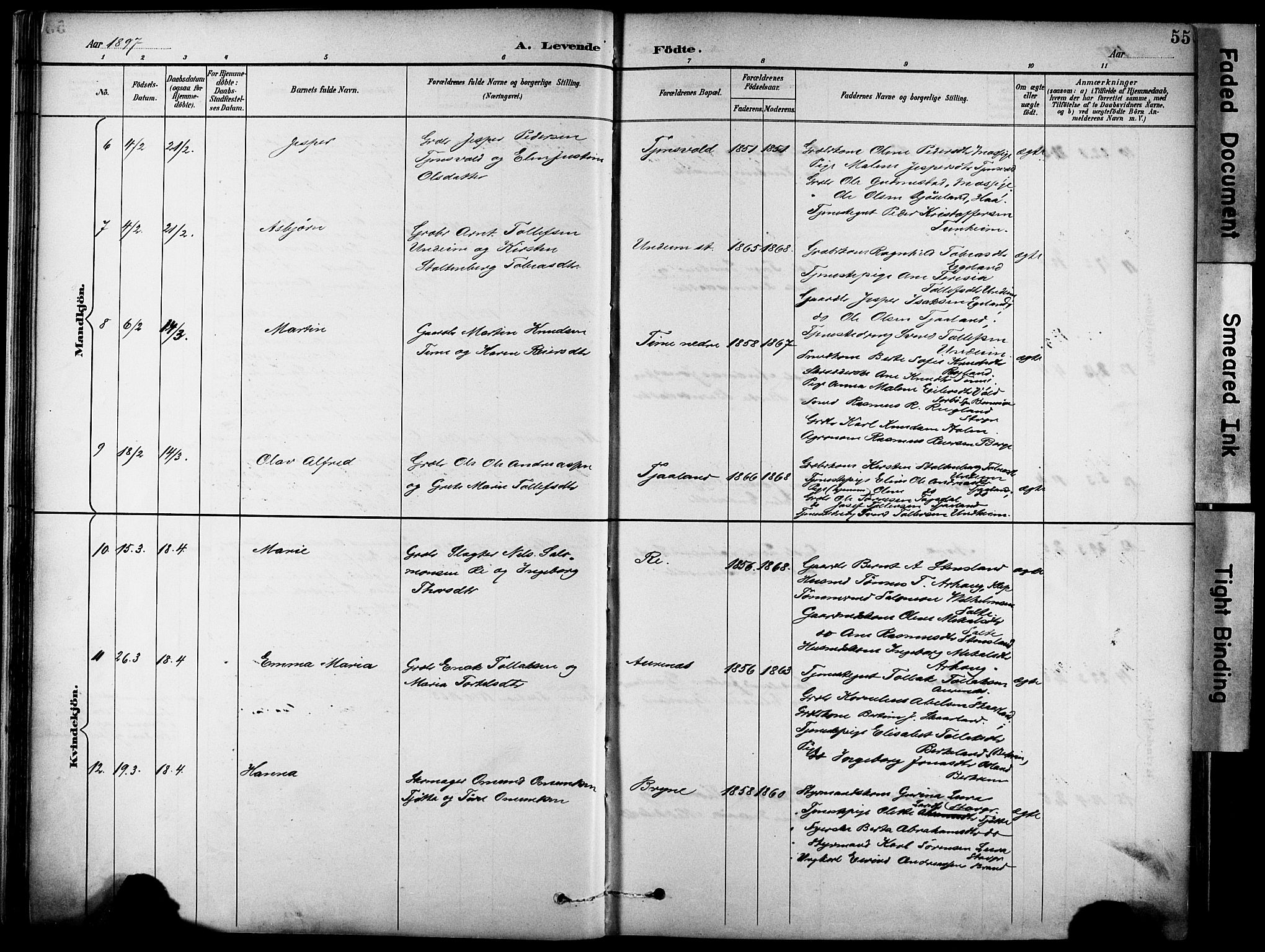 Lye sokneprestkontor, AV/SAST-A-101794/001/30BA/L0011: Parish register (official) no. A 9, 1893-1903, p. 55