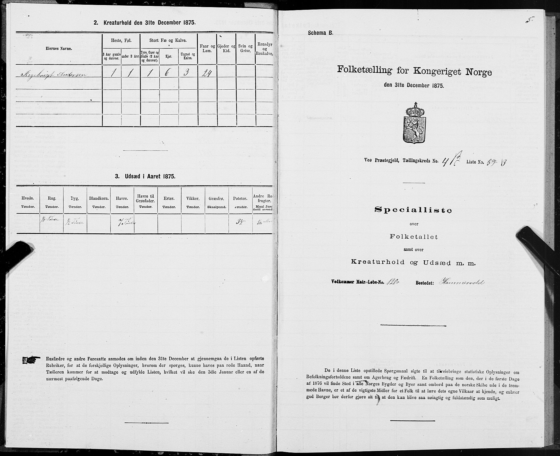 SAT, 1875 census for 1541P Veøy, 1875, p. 3005