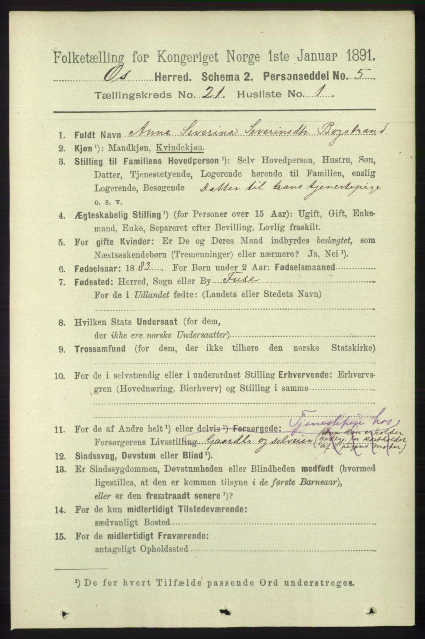 RA, 1891 census for 1243 Os, 1891, p. 4844