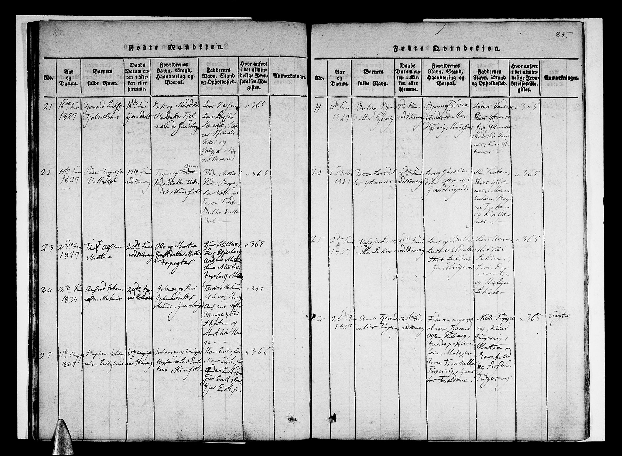 Skånevik sokneprestembete, AV/SAB-A-77801/H/Haa: Parish register (official) no. A 3, 1815-1828, p. 85