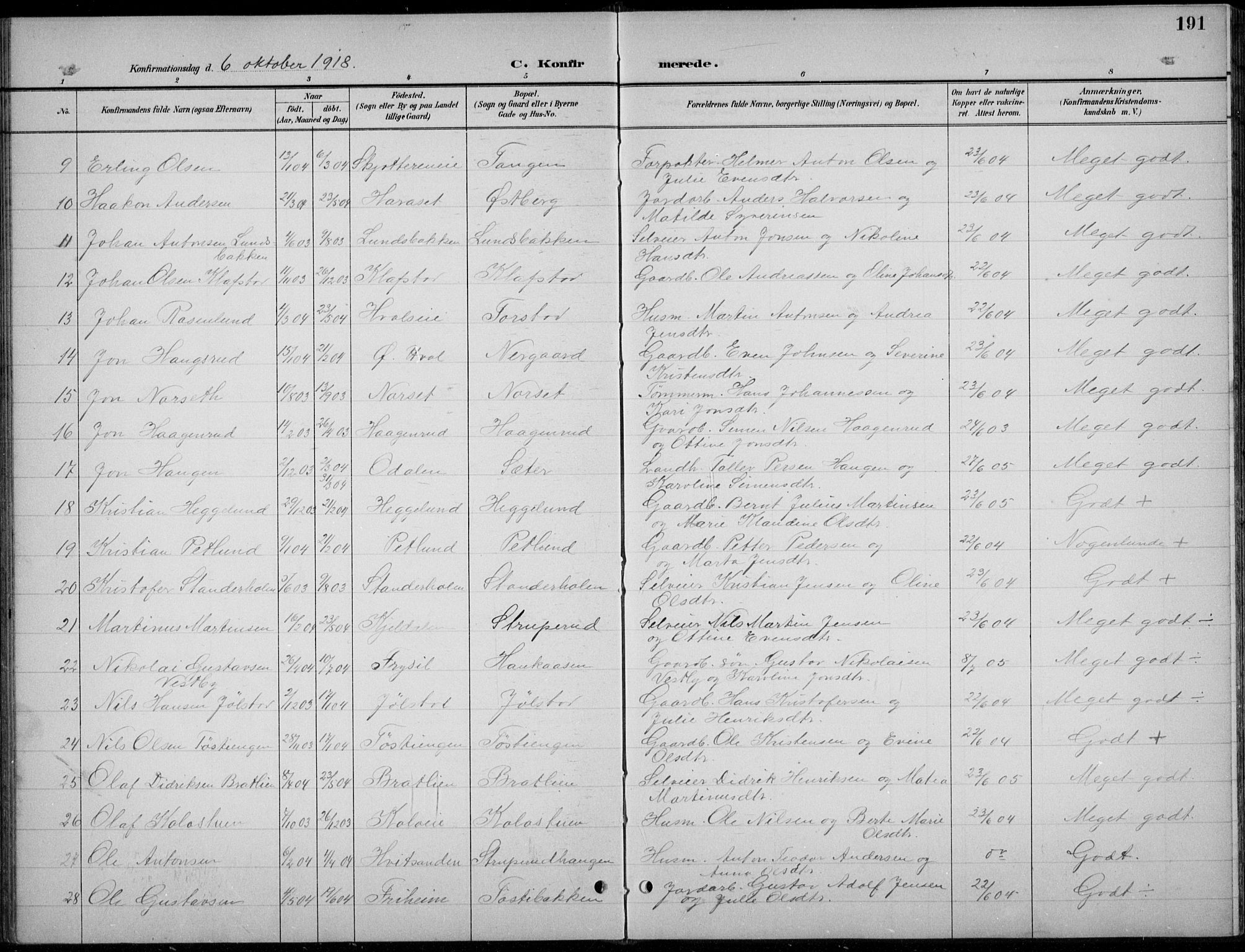 Romedal prestekontor, AV/SAH-PREST-004/L/L0013: Parish register (copy) no. 13, 1896-1937, p. 191