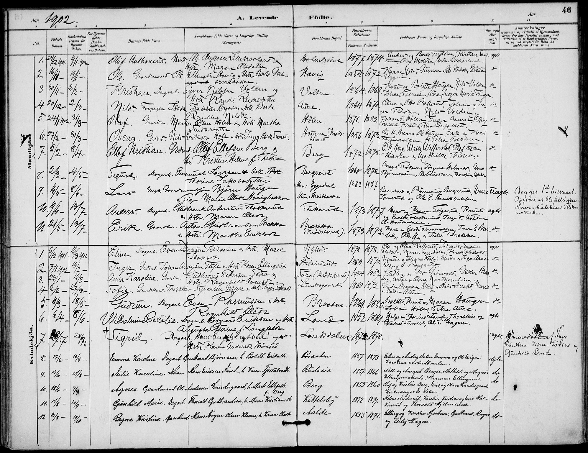 Lunder kirkebøker, SAKO/A-629/F/Fa/L0001: Parish register (official) no. I 1, 1885-1912, p. 46