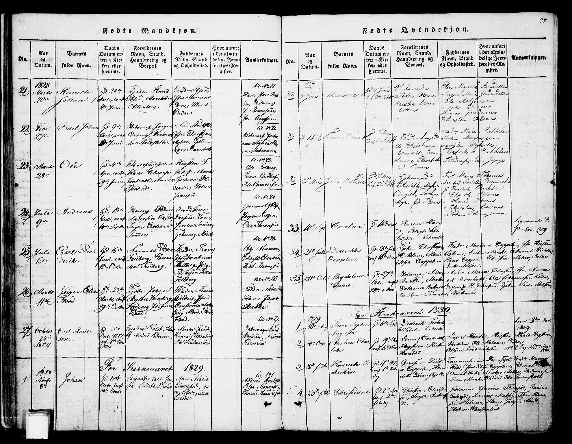 Skien kirkebøker, SAKO/A-302/F/Fa/L0005: Parish register (official) no. 5, 1814-1843, p. 45
