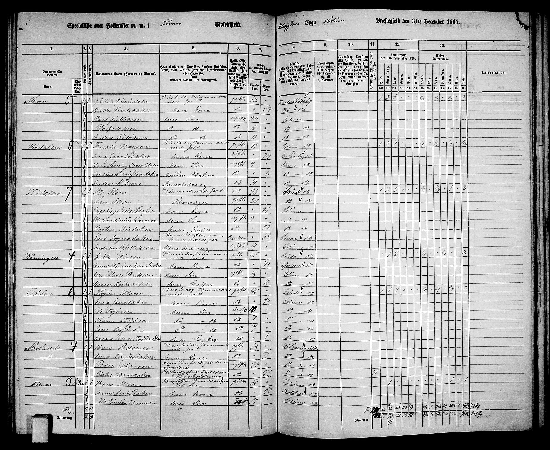 RA, 1865 census for Solum, 1865, p. 144