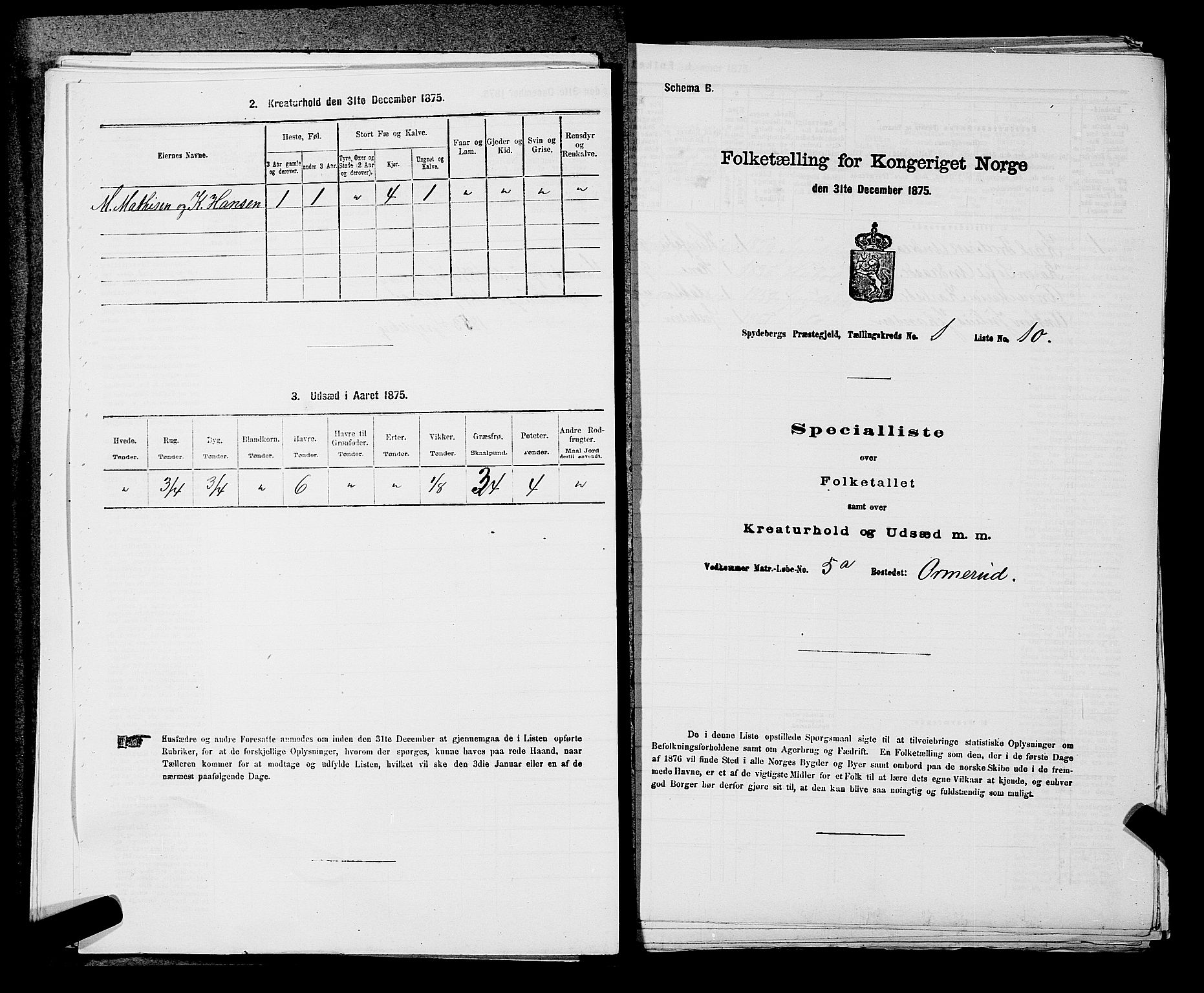 RA, 1875 census for 0123P Spydeberg, 1875, p. 67