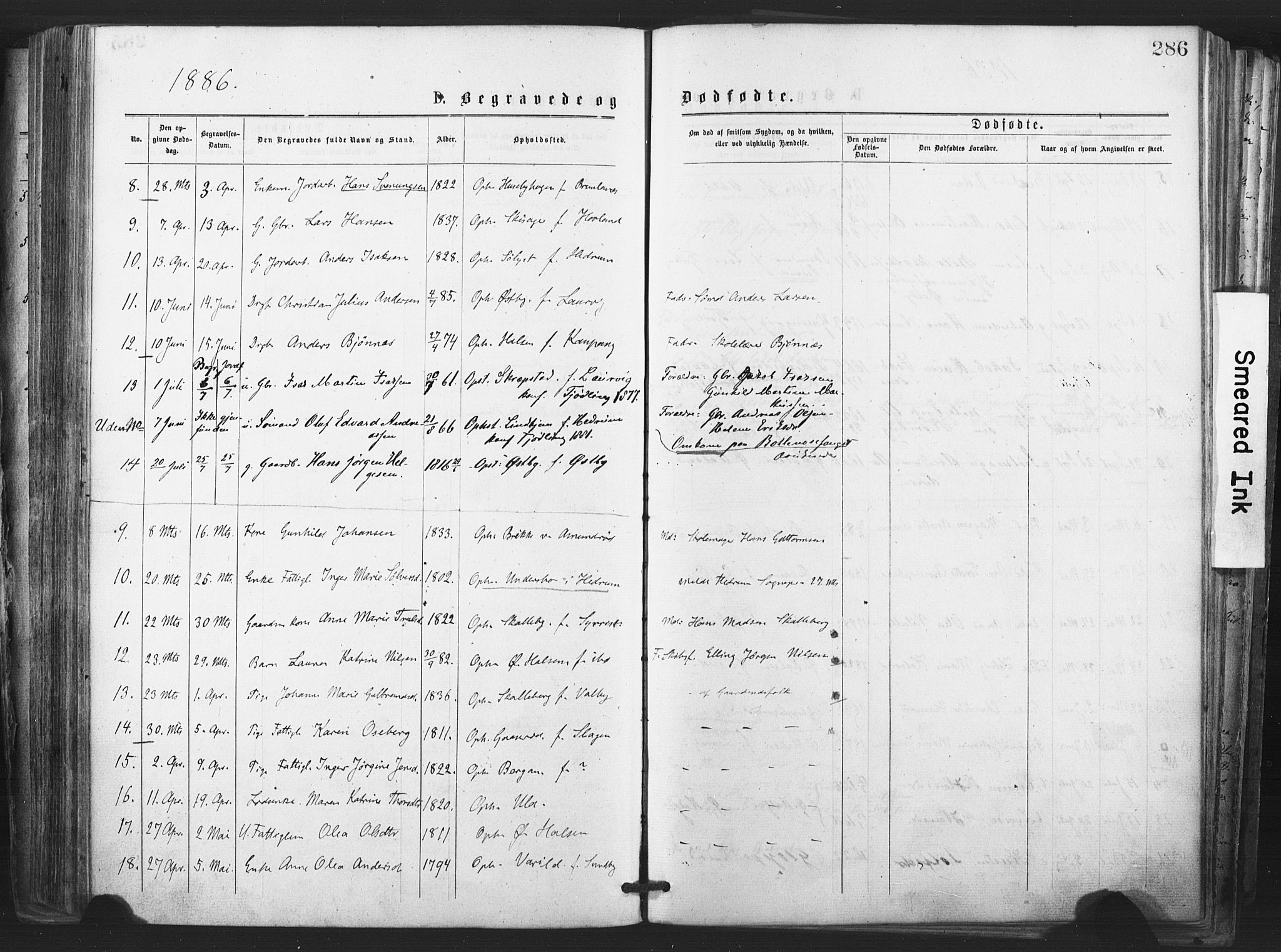 Tjølling kirkebøker, AV/SAKO-A-60/F/Fa/L0008: Parish register (official) no. 8, 1877-1886, p. 286