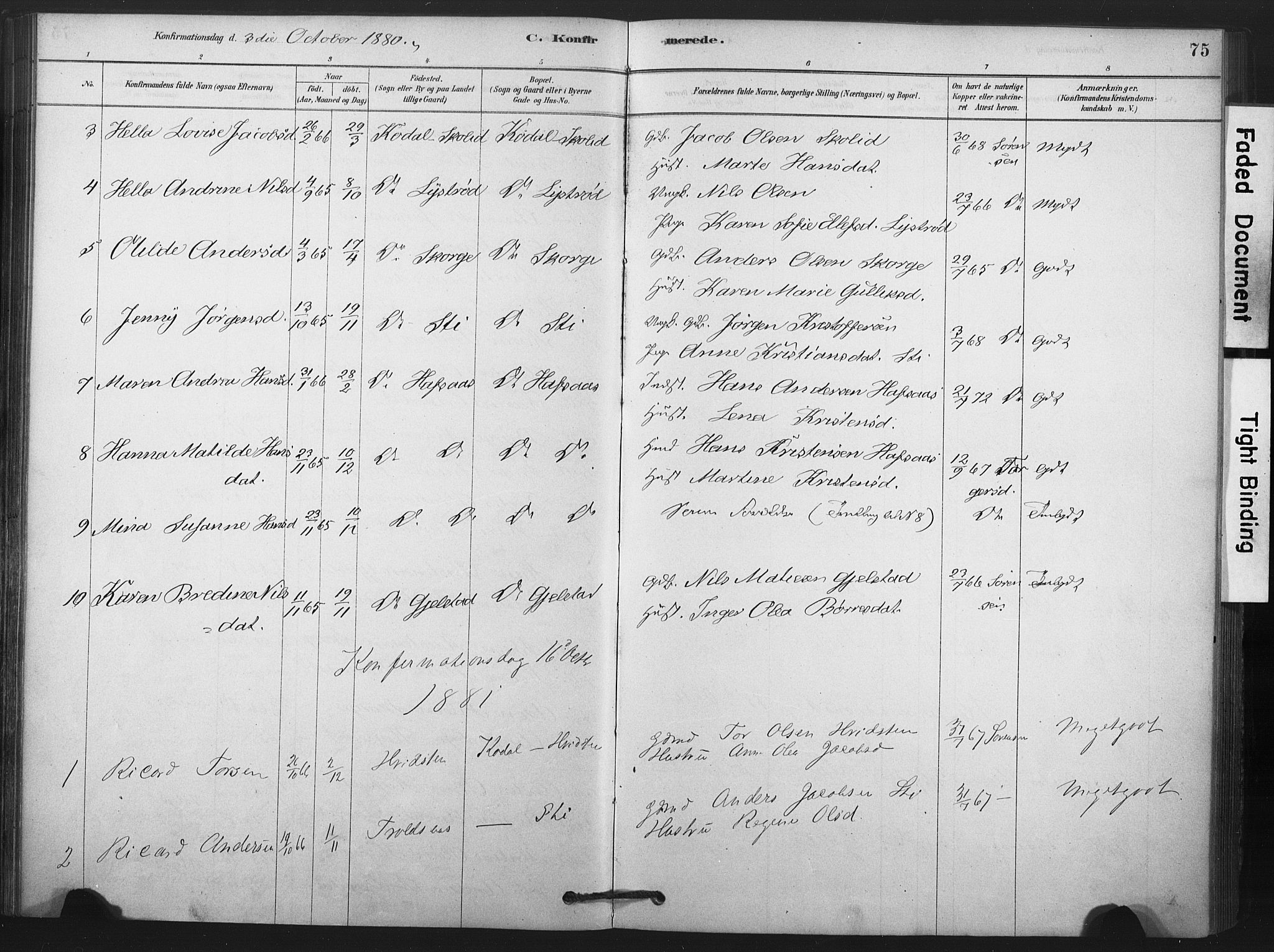 Andebu kirkebøker, AV/SAKO-A-336/F/Fa/L0008: Parish register (official) no. 8, 1878-1902, p. 75