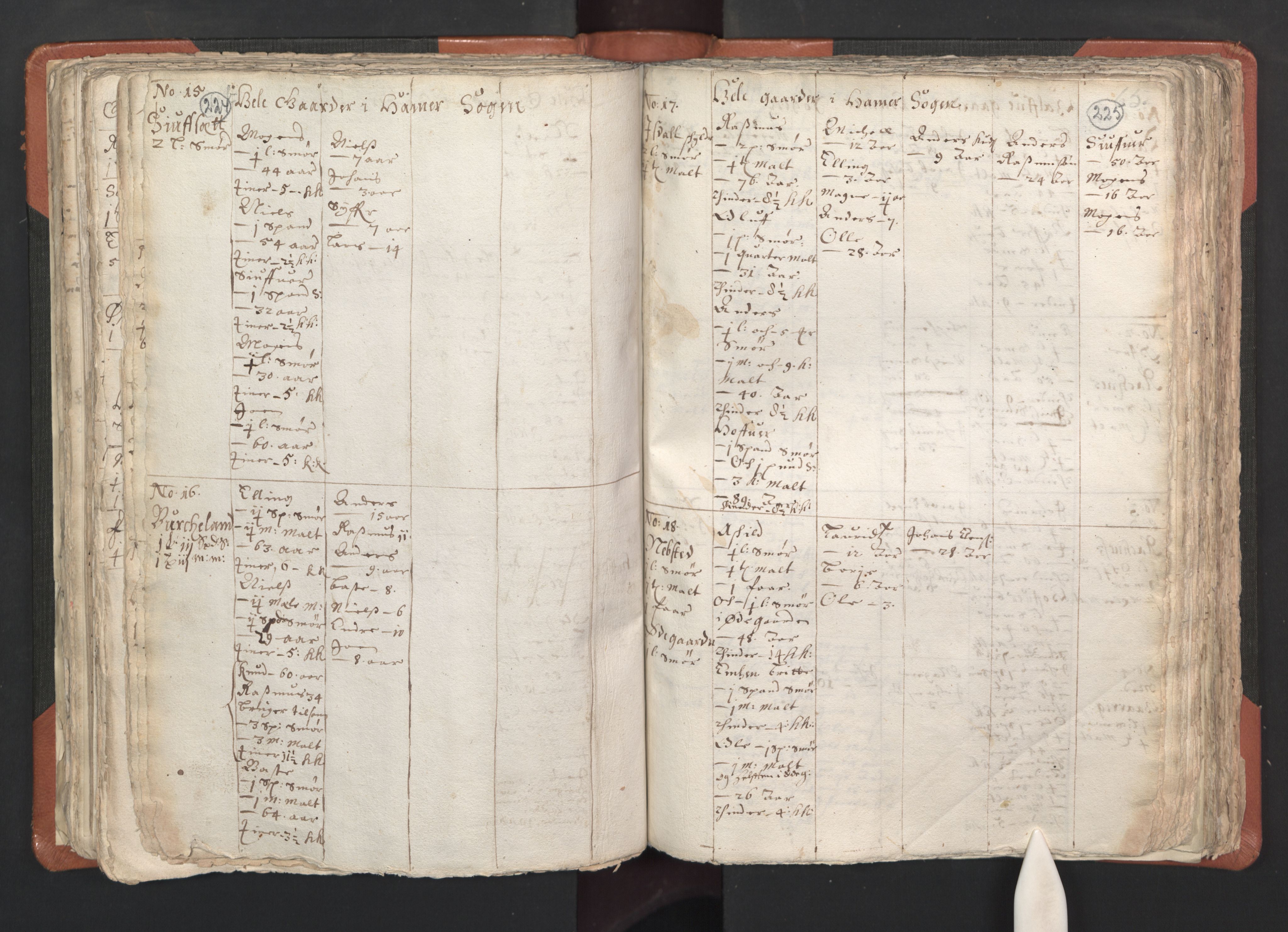 RA, Vicar's Census 1664-1666, no. 22: Nordhordland deanery, 1664-1666, p. 224-225