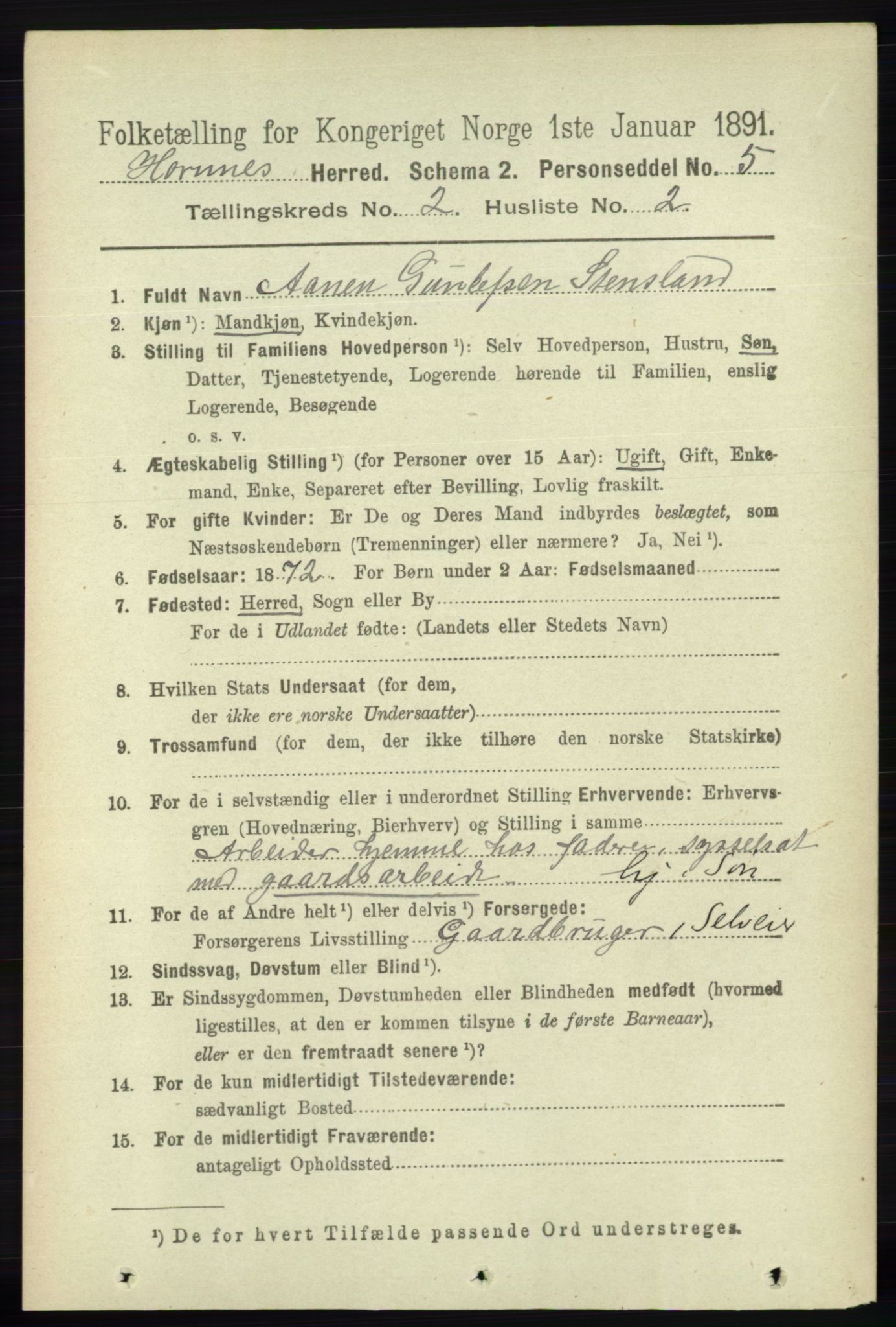 RA, 1891 census for 0936 Hornnes, 1891, p. 222