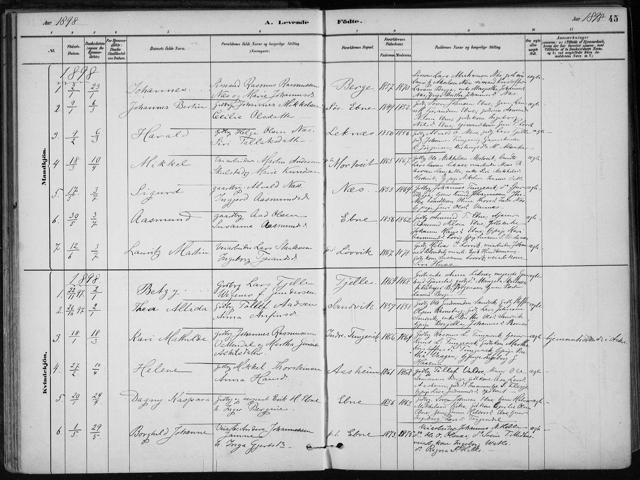 Skånevik sokneprestembete, AV/SAB-A-77801/H/Haa: Parish register (official) no. B 1, 1879-1914, p. 45