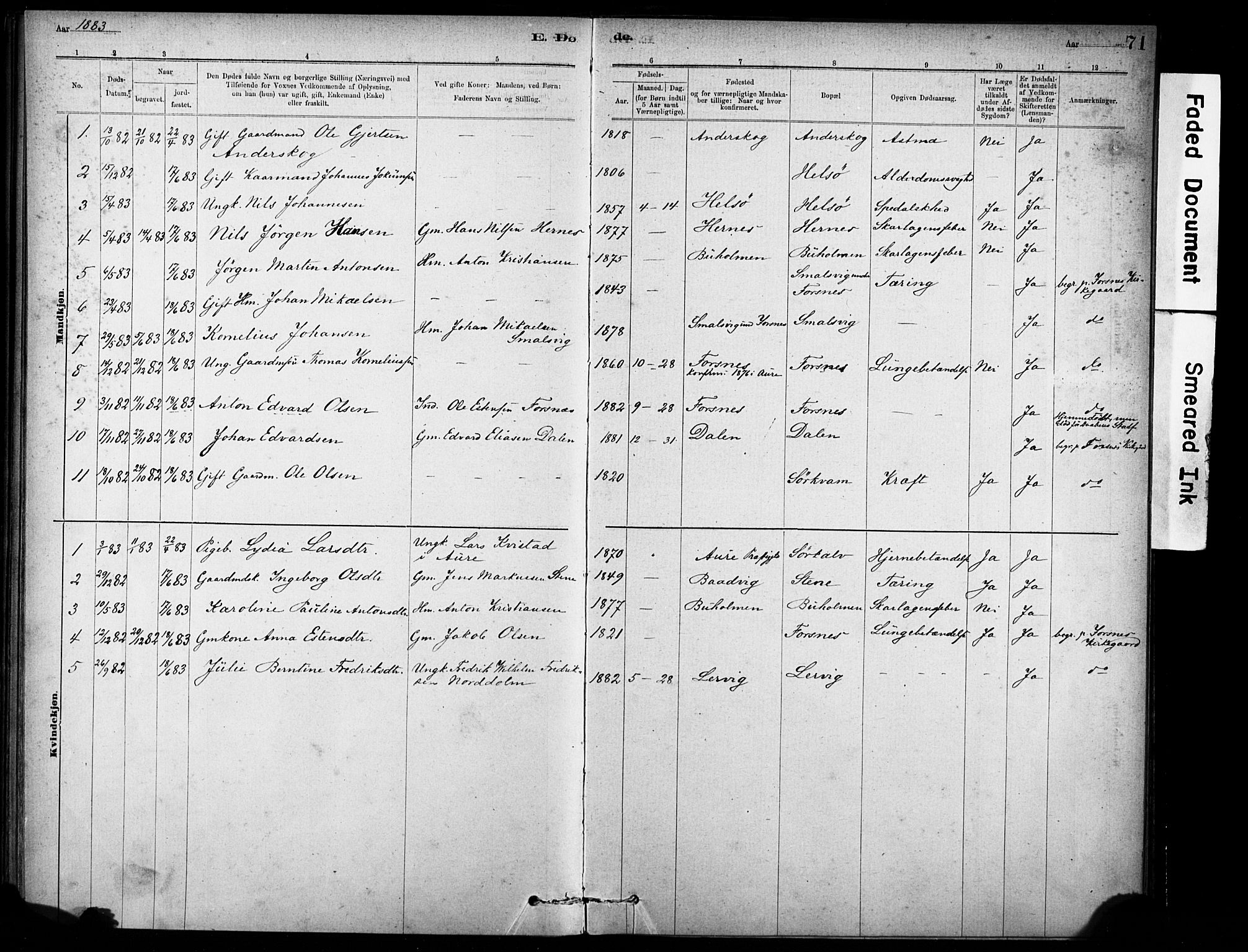 Ministerialprotokoller, klokkerbøker og fødselsregistre - Sør-Trøndelag, SAT/A-1456/635/L0551: Parish register (official) no. 635A01, 1882-1899, p. 71