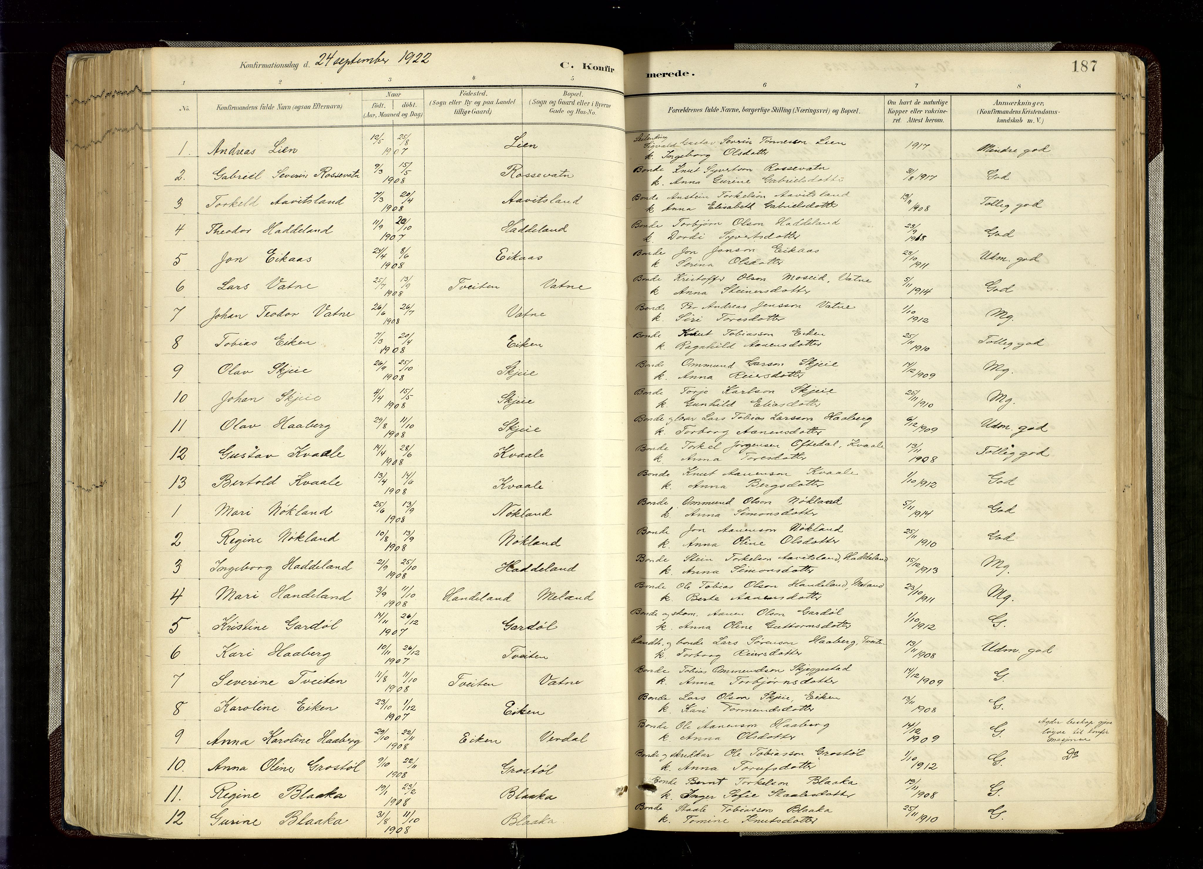 Hægebostad sokneprestkontor, SAK/1111-0024/F/Fa/Fab/L0004: Parish register (official) no. A 4, 1887-1929, p. 187