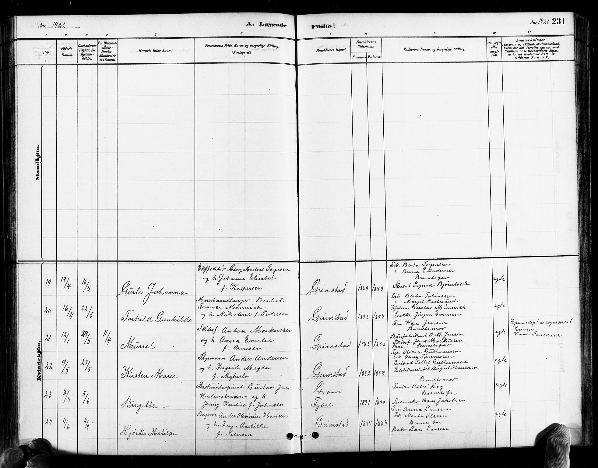 Grimstad sokneprestkontor, AV/SAK-1111-0017/F/Fb/L0001: Parish register (copy) no. B 1, 1881-1922, p. 231