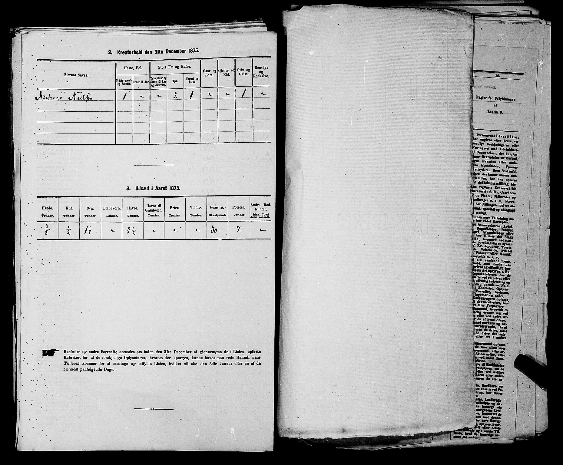 RA, 1875 census for 0136P Rygge, 1875, p. 461