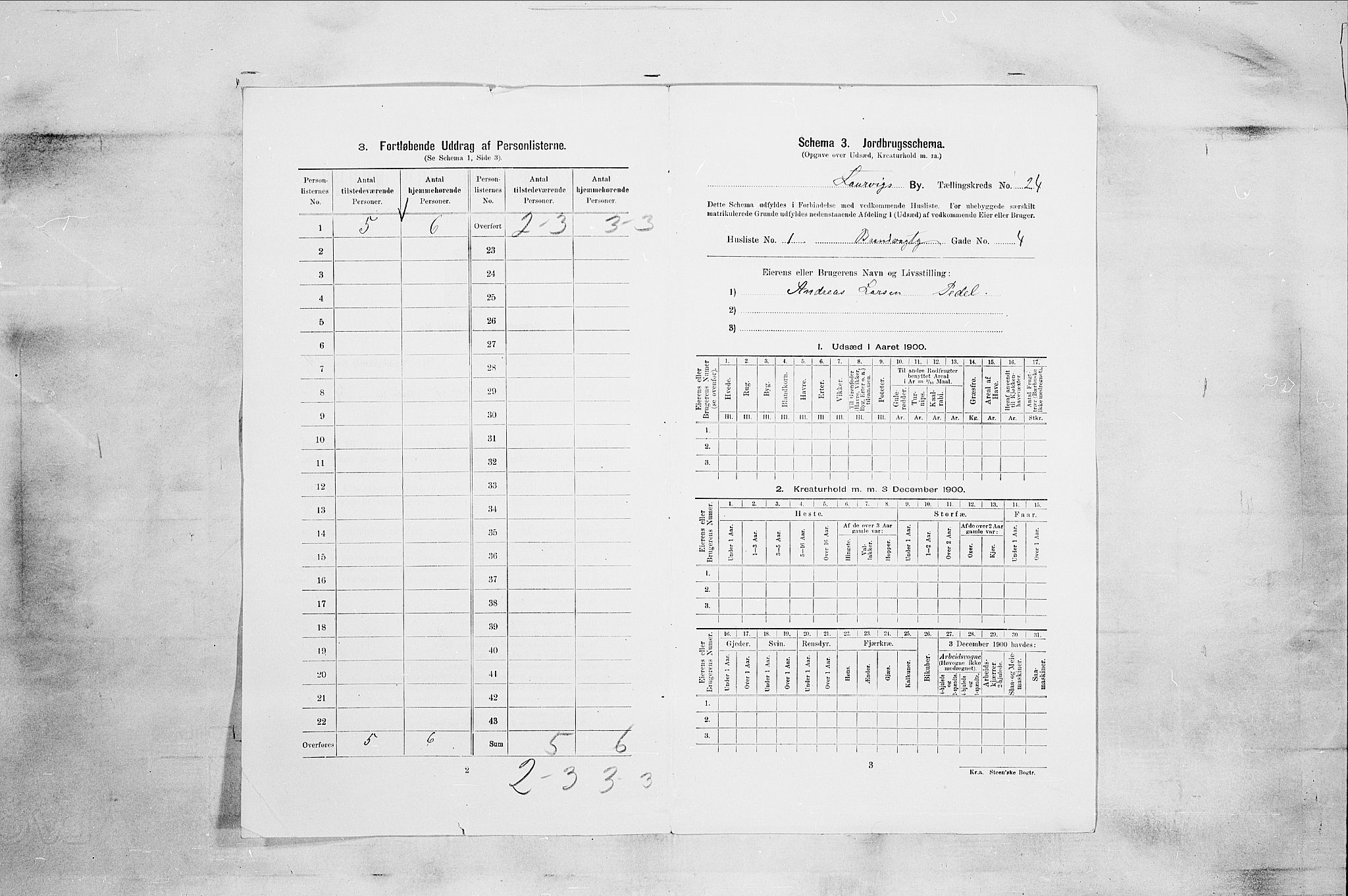 RA, 1900 census for Larvik, 1900, p. 2497