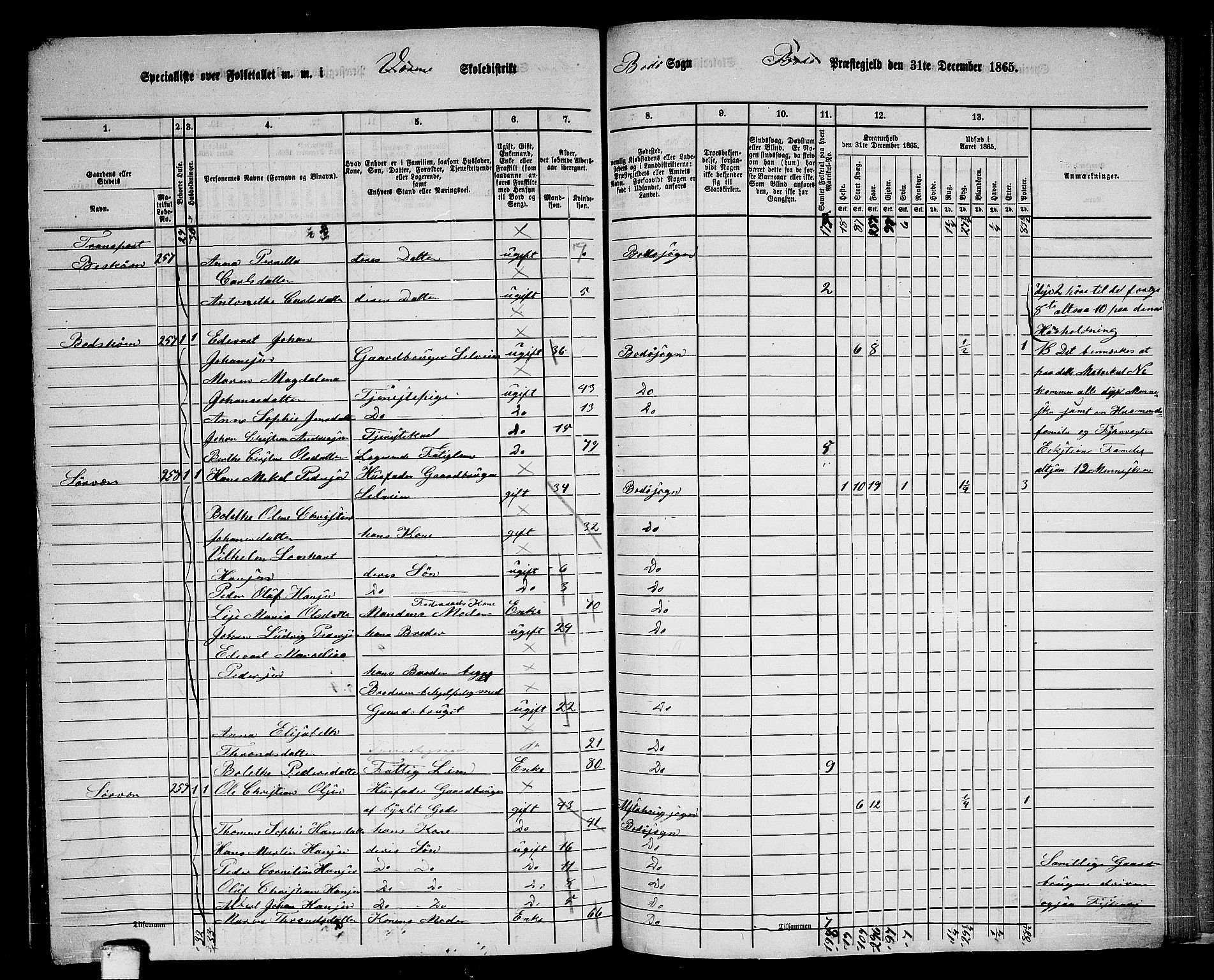 RA, 1865 census for Bodø/Bodø, 1865, p. 146