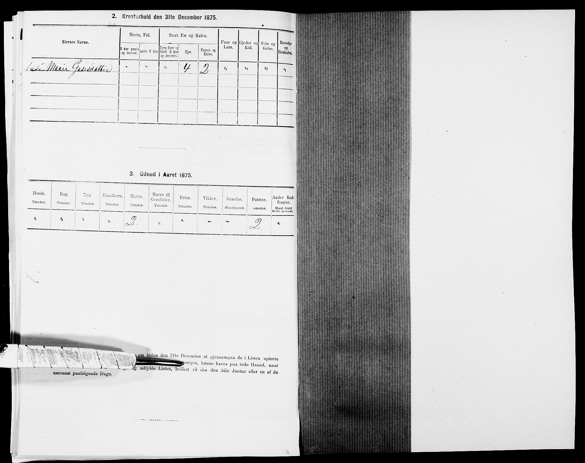 SAK, 1875 census for 1020P Holum, 1875, p. 1324