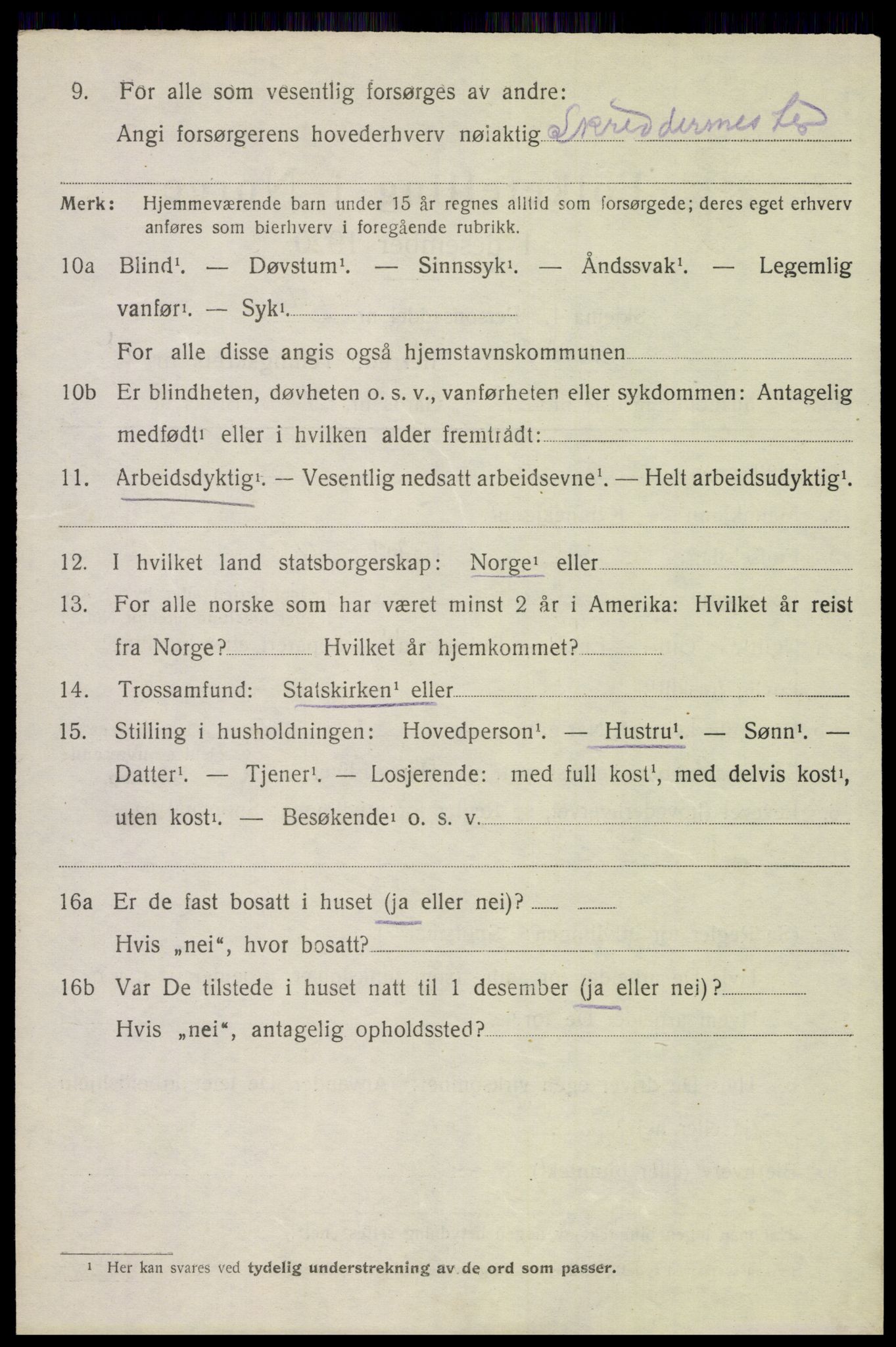 SAH, 1920 census for Åsnes, 1920, p. 13411