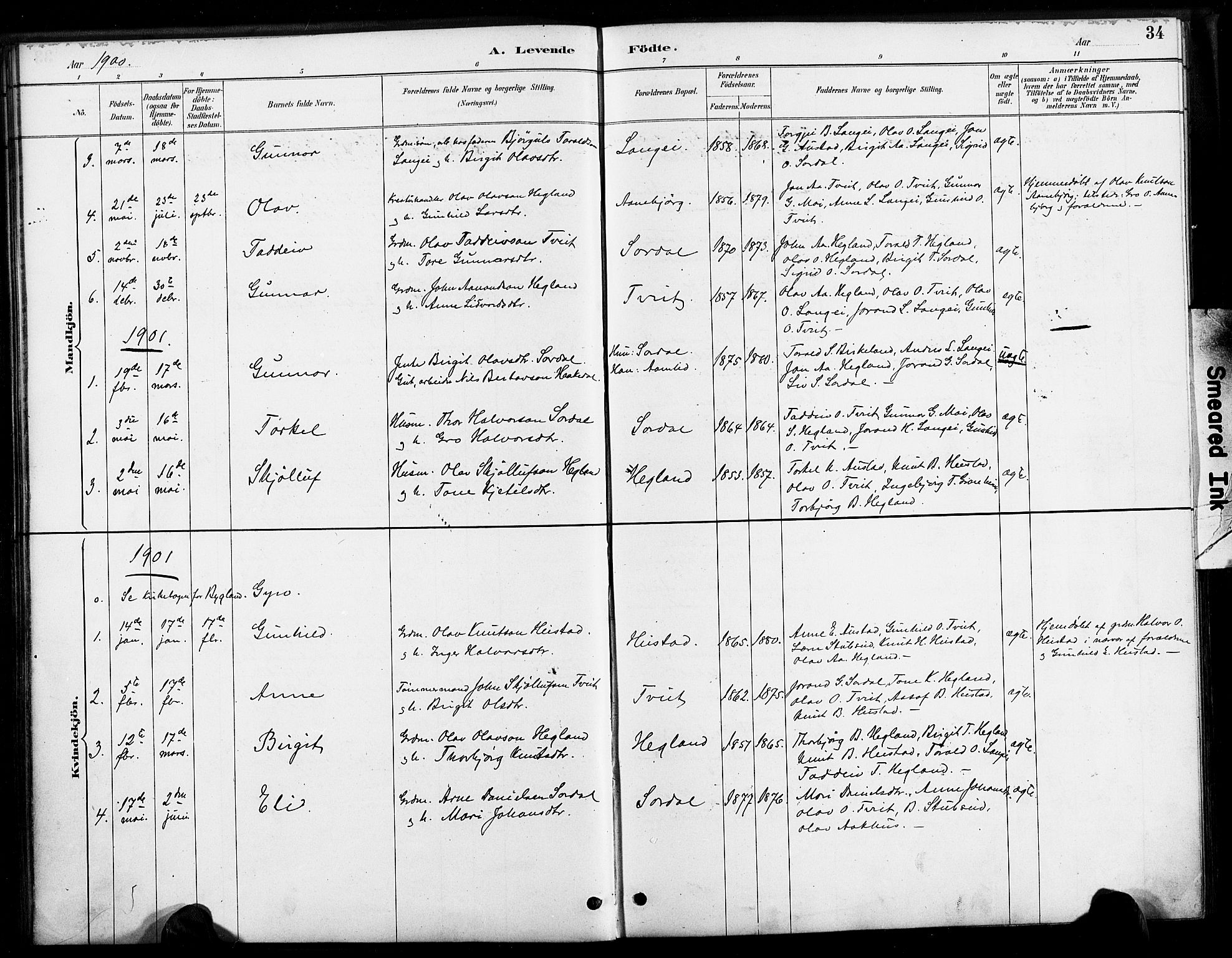 Bygland sokneprestkontor, SAK/1111-0006/F/Fa/Faa/L0001: Parish register (official) no. A 1, 1885-1908, p. 34