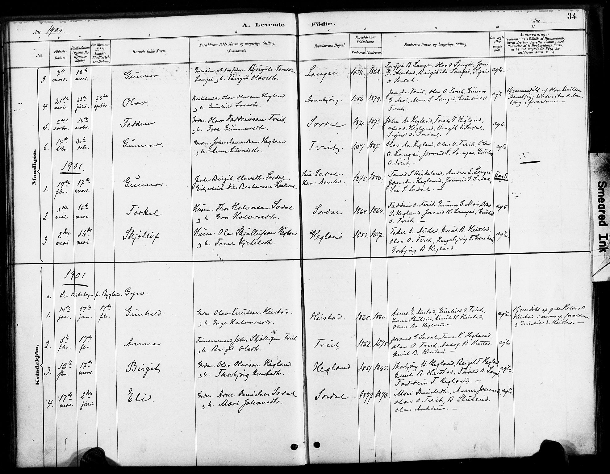 Bygland sokneprestkontor, AV/SAK-1111-0006/F/Fa/Faa/L0001: Parish register (official) no. A 1, 1885-1908, p. 34