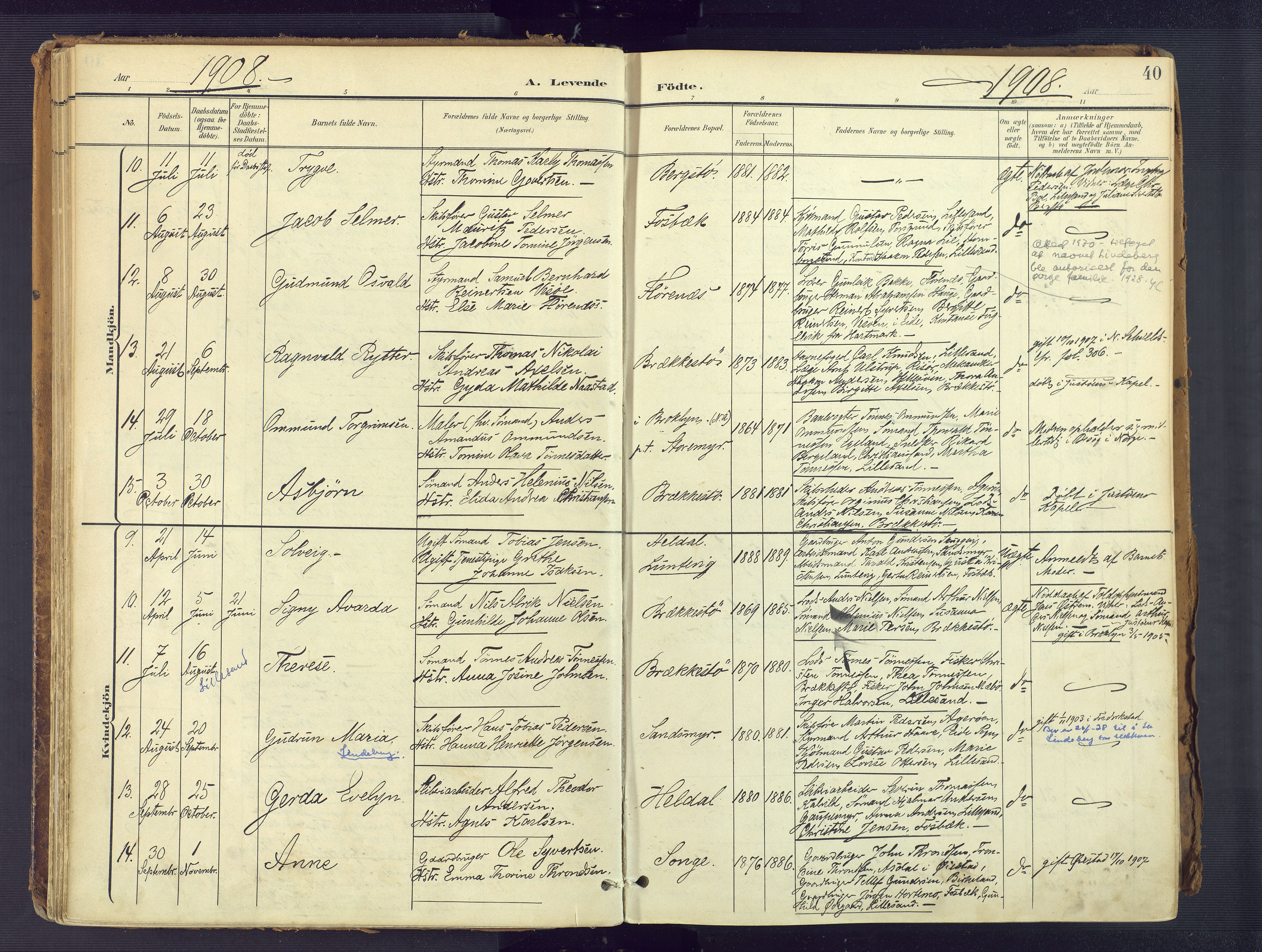 Vestre Moland sokneprestkontor, AV/SAK-1111-0046/F/Fa/Fab/L0010: Parish register (official) no. A 10, 1900-1926, p. 40