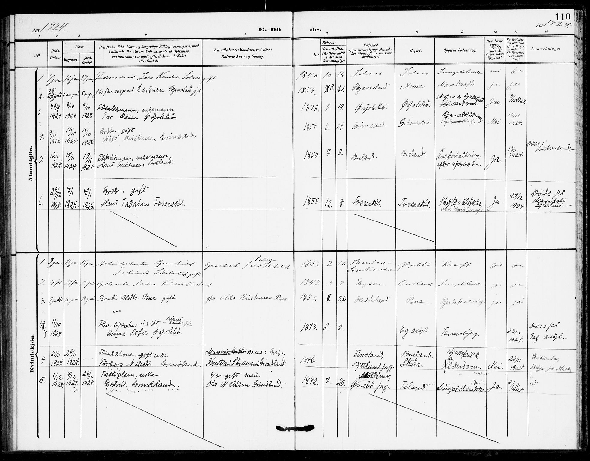 Holum sokneprestkontor, SAK/1111-0022/F/Fa/Fac/L0005: Parish register (official) no. A 5, 1908-1930, p. 110
