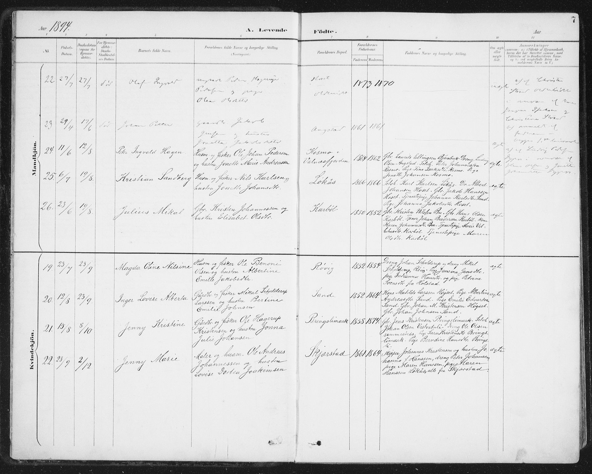 Ministerialprotokoller, klokkerbøker og fødselsregistre - Nordland, AV/SAT-A-1459/852/L0741: Parish register (official) no. 852A11, 1894-1917, p. 7