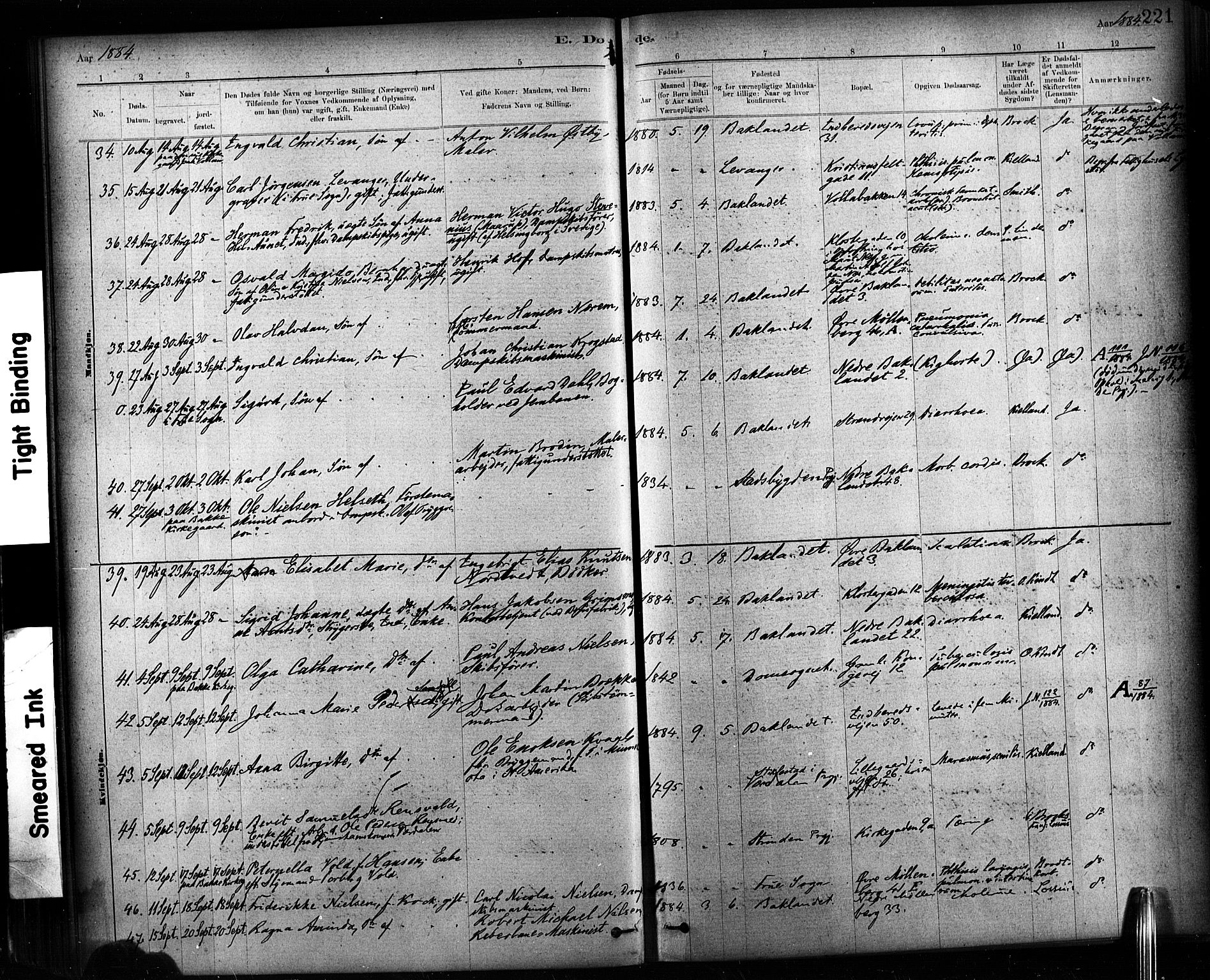 Ministerialprotokoller, klokkerbøker og fødselsregistre - Sør-Trøndelag, AV/SAT-A-1456/604/L0189: Parish register (official) no. 604A10, 1878-1892, p. 221