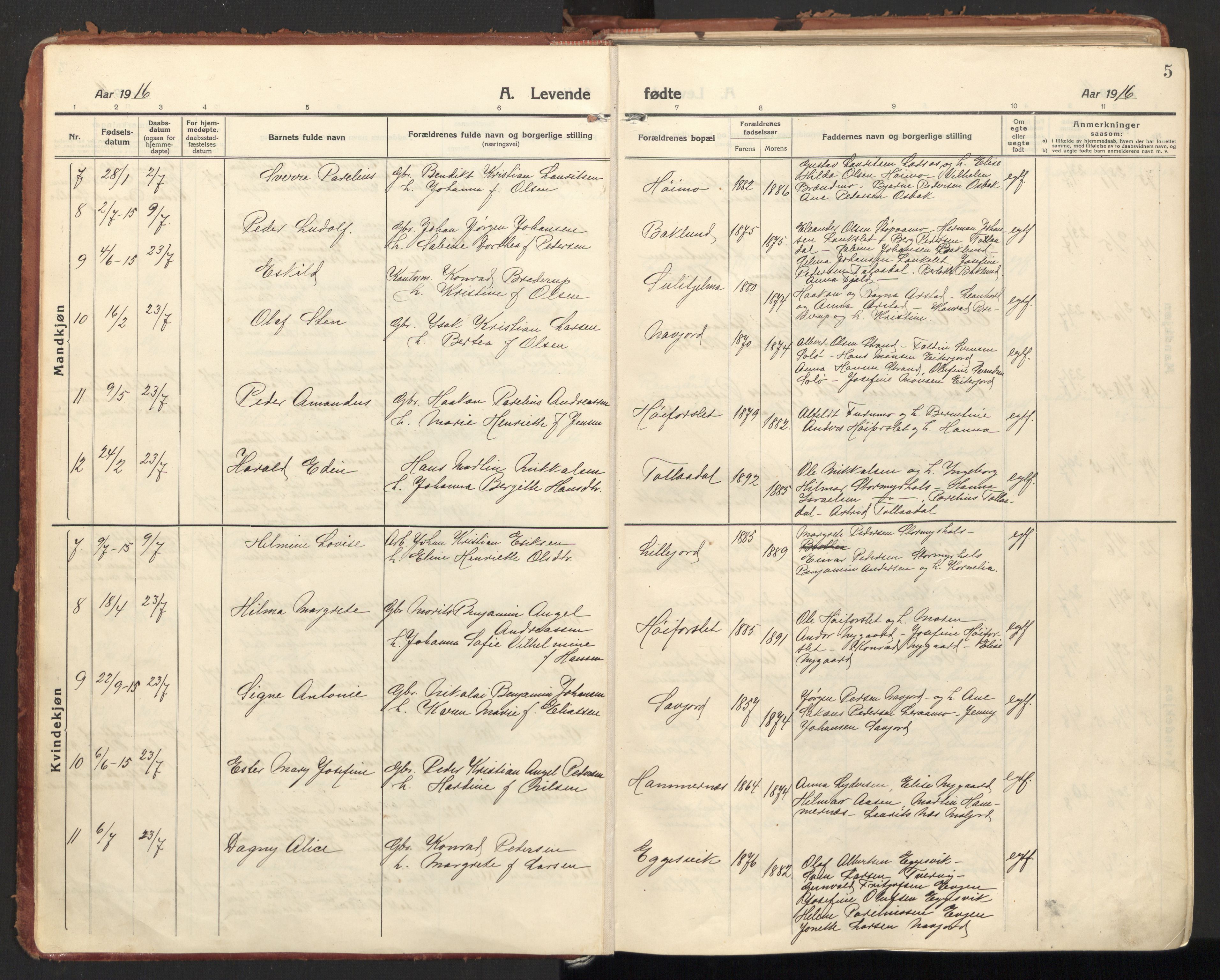Ministerialprotokoller, klokkerbøker og fødselsregistre - Nordland, SAT/A-1459/846/L0650: Parish register (official) no. 846A08, 1916-1935, p. 5