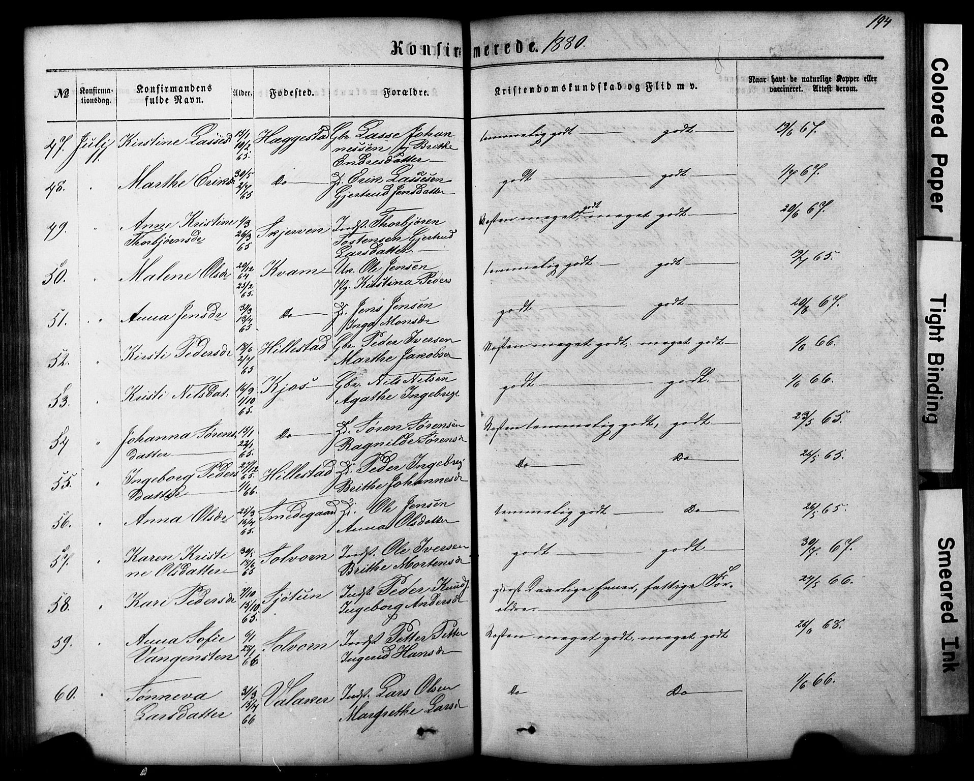 Hafslo sokneprestembete, AV/SAB-A-80301/H/Hab/Haba/L0001: Parish register (copy) no. A 1, 1866-1908, p. 194