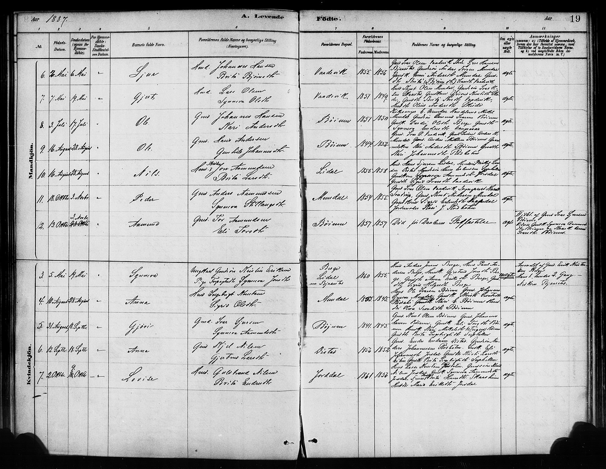 Balestrand sokneprestembete, SAB/A-79601/H/Haa/Haaa/L0004: Parish register (official) no. A 4 /2, 1879-1888, p. 19