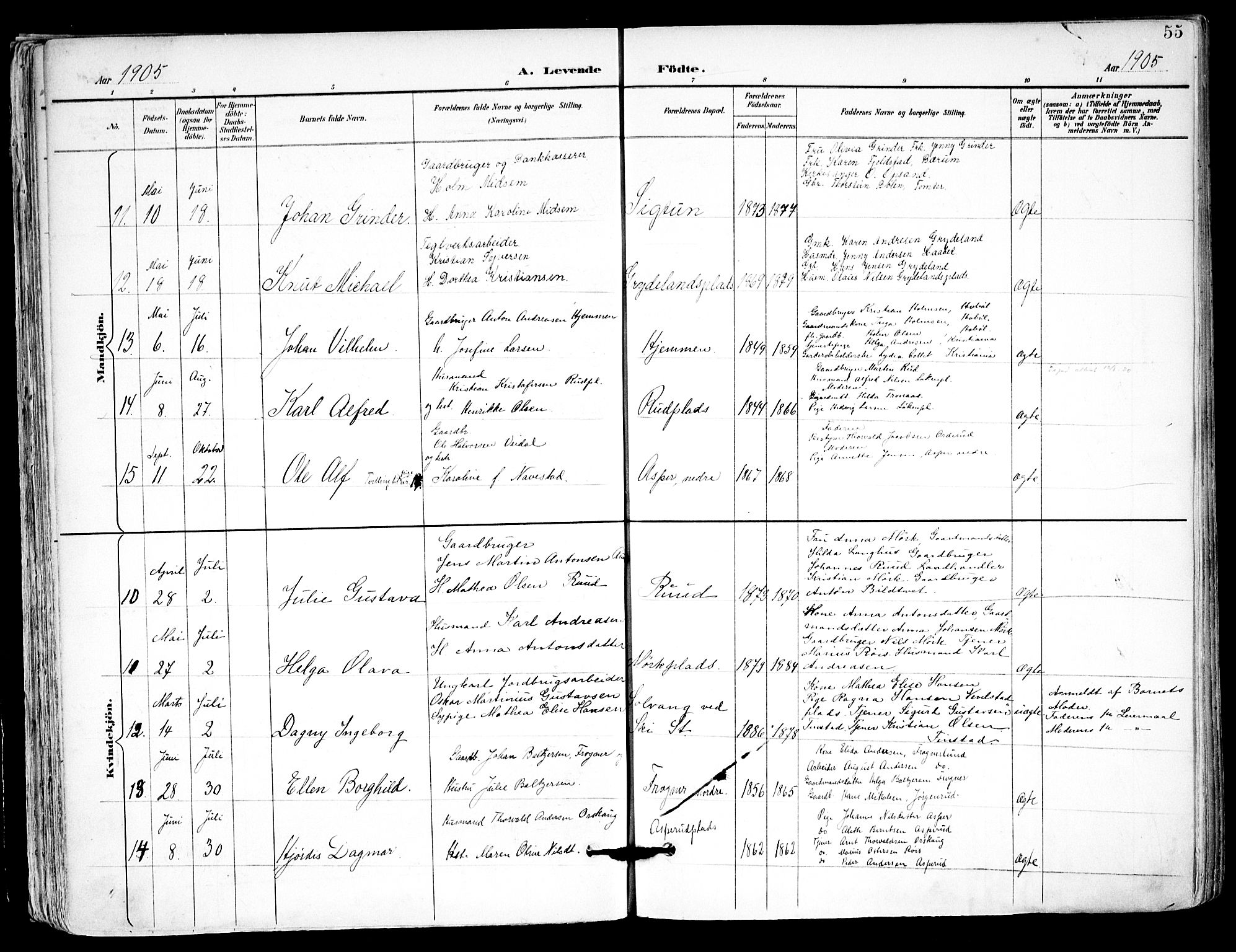 Kråkstad prestekontor Kirkebøker, AV/SAO-A-10125a/F/Fa/L0010: Parish register (official) no. I 10, 1893-1931, p. 55