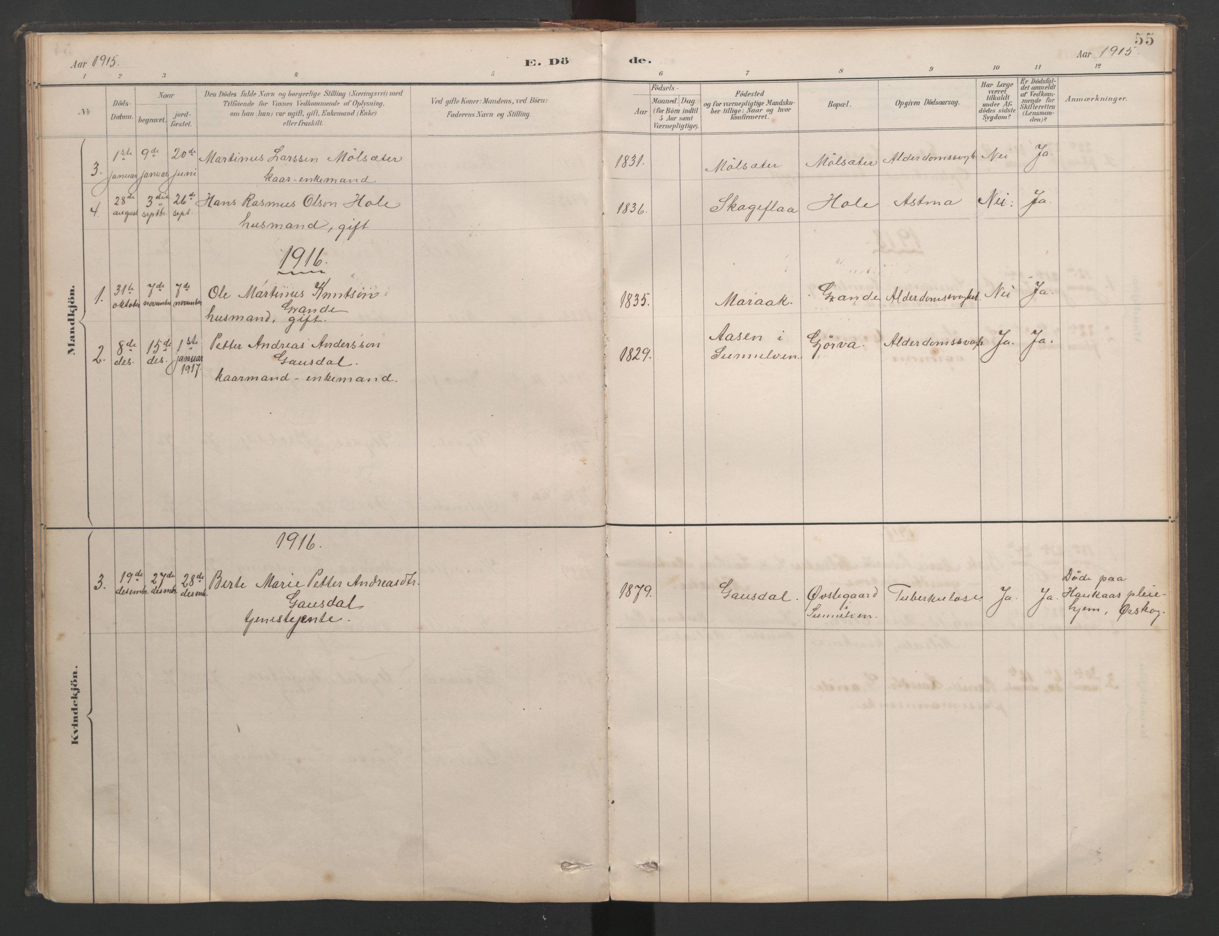 Ministerialprotokoller, klokkerbøker og fødselsregistre - Møre og Romsdal, SAT/A-1454/518/L0237: Parish register (copy) no. 518C04, 1885-1963, p. 55