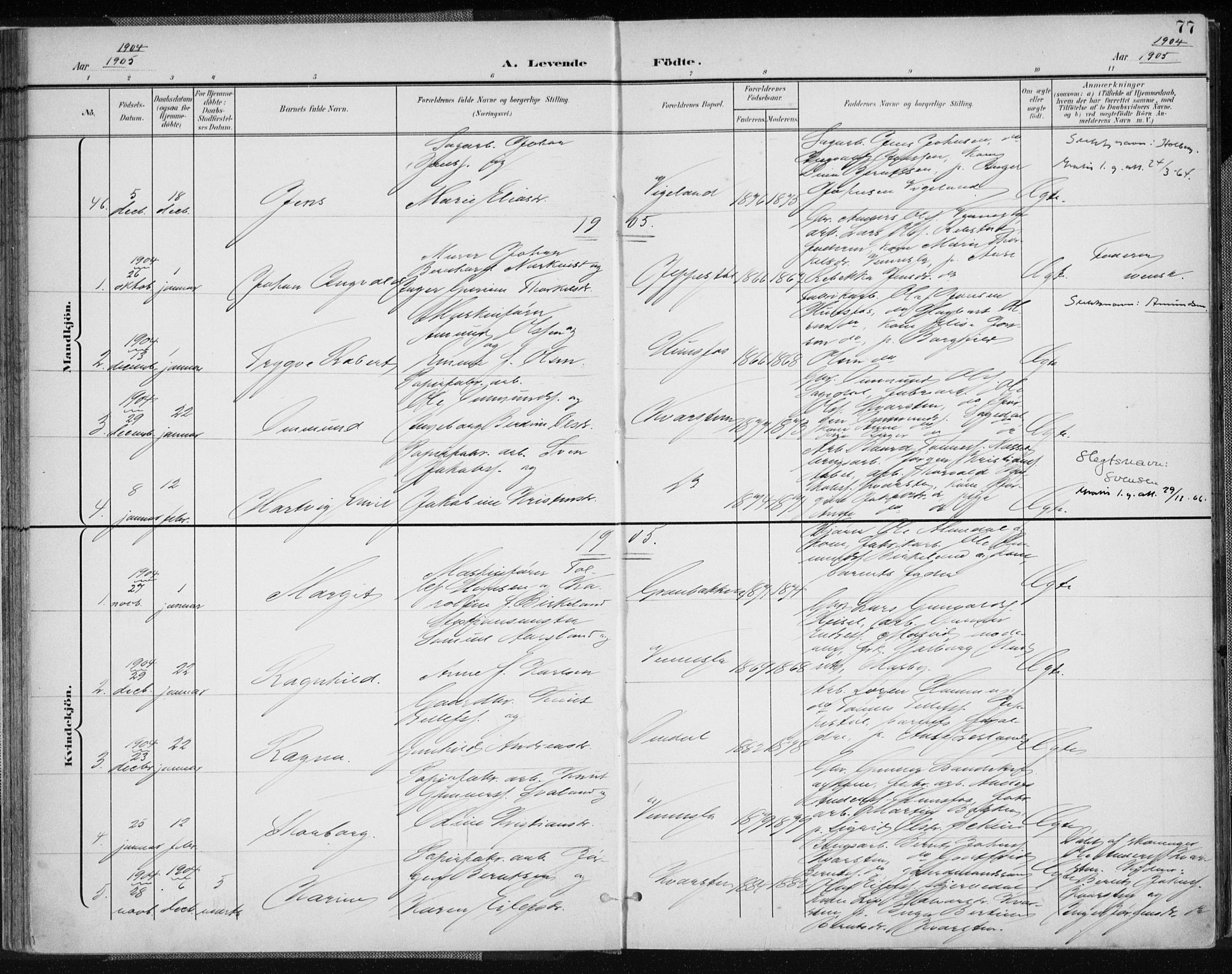 Vennesla sokneprestkontor, AV/SAK-1111-0045/Fa/Fab/L0005: Parish register (official) no. A 5, 1897-1909, p. 77