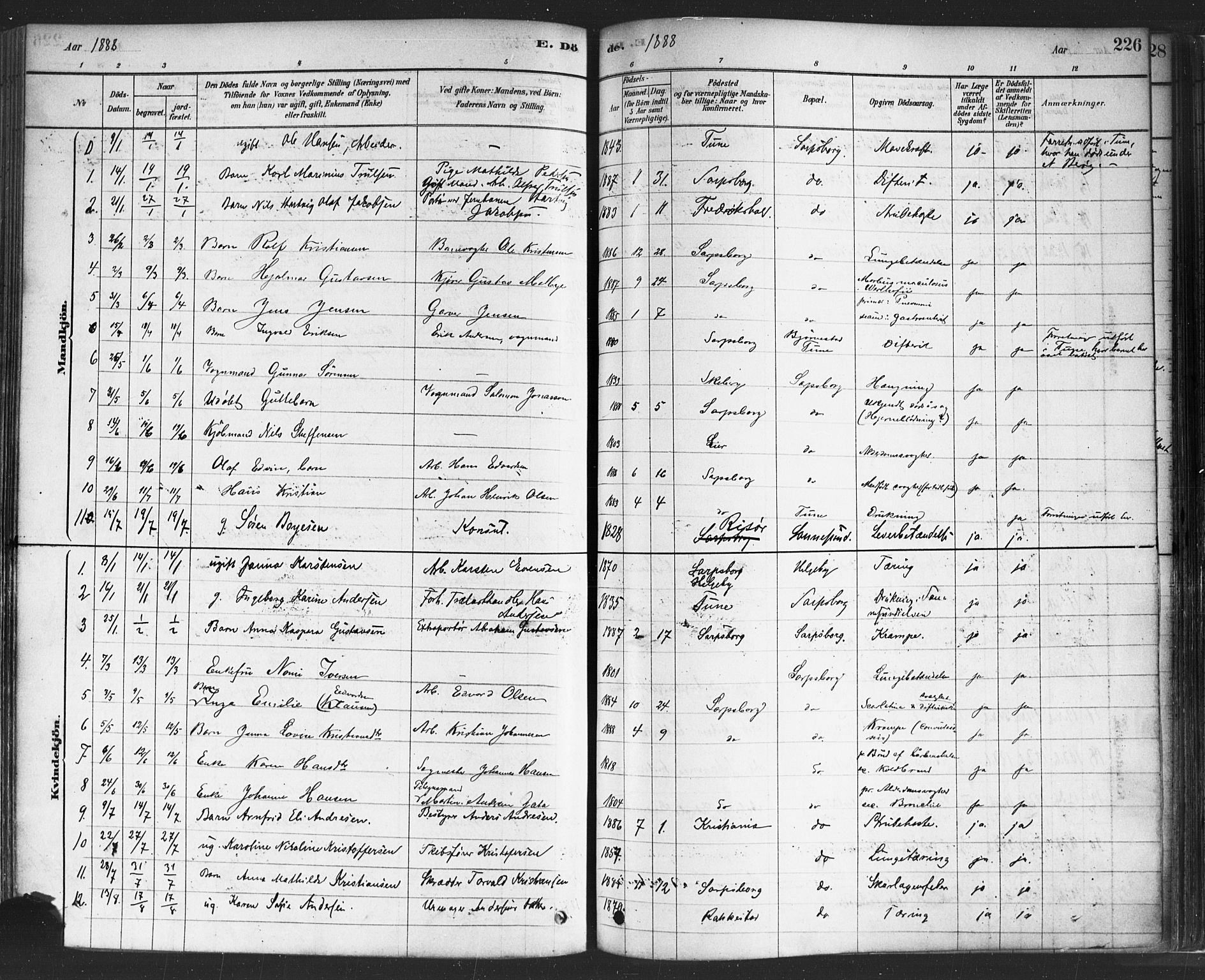 Sarpsborg prestekontor Kirkebøker, AV/SAO-A-2006/F/Fa/L0003: Parish register (official) no. 3, 1878-1891, p. 226