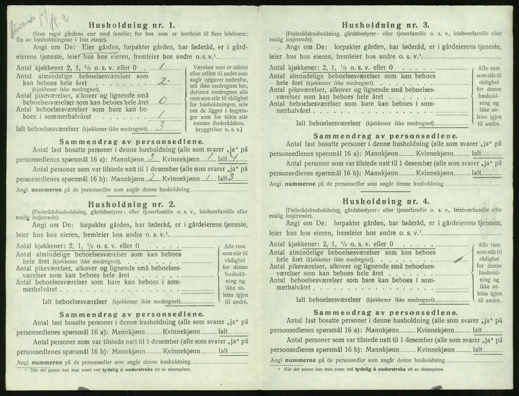 SAT, 1920 census for Borgund, 1920, p. 2019