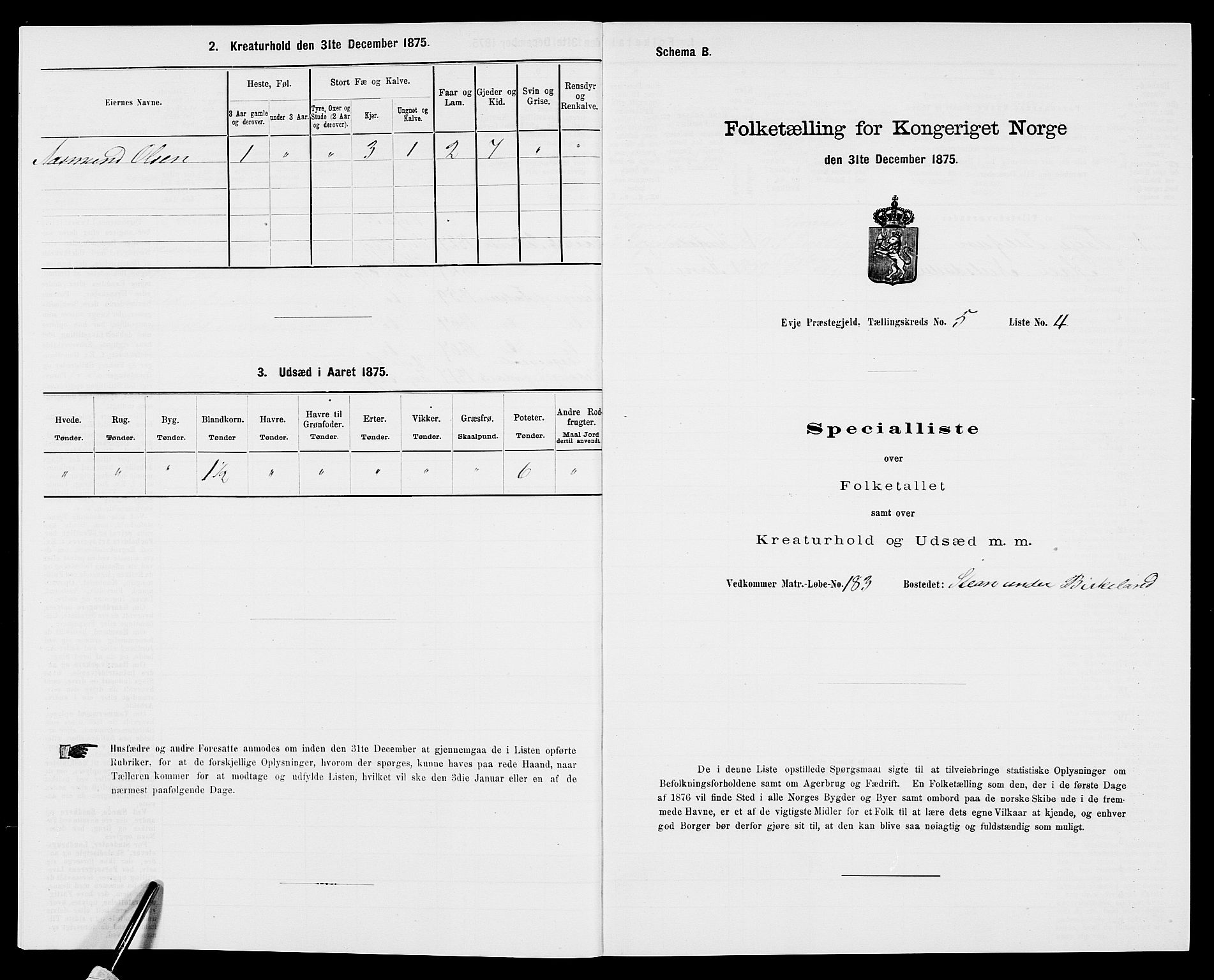 SAK, 1875 census for 0934P Evje, 1875, p. 404
