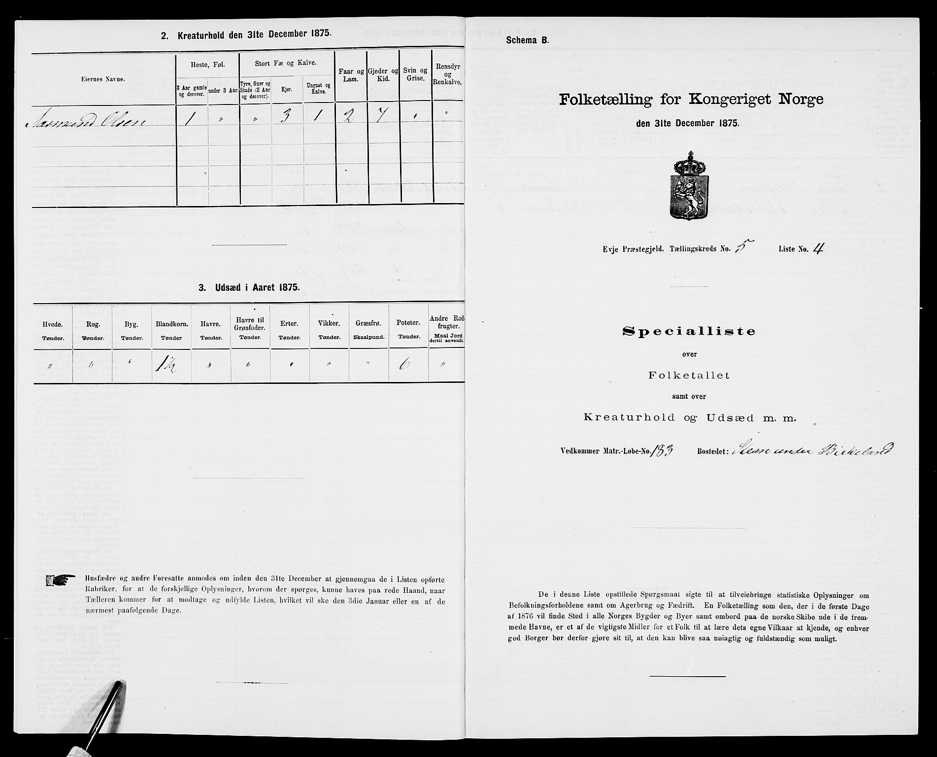 SAK, 1875 census for 0934P Evje, 1875, p. 404