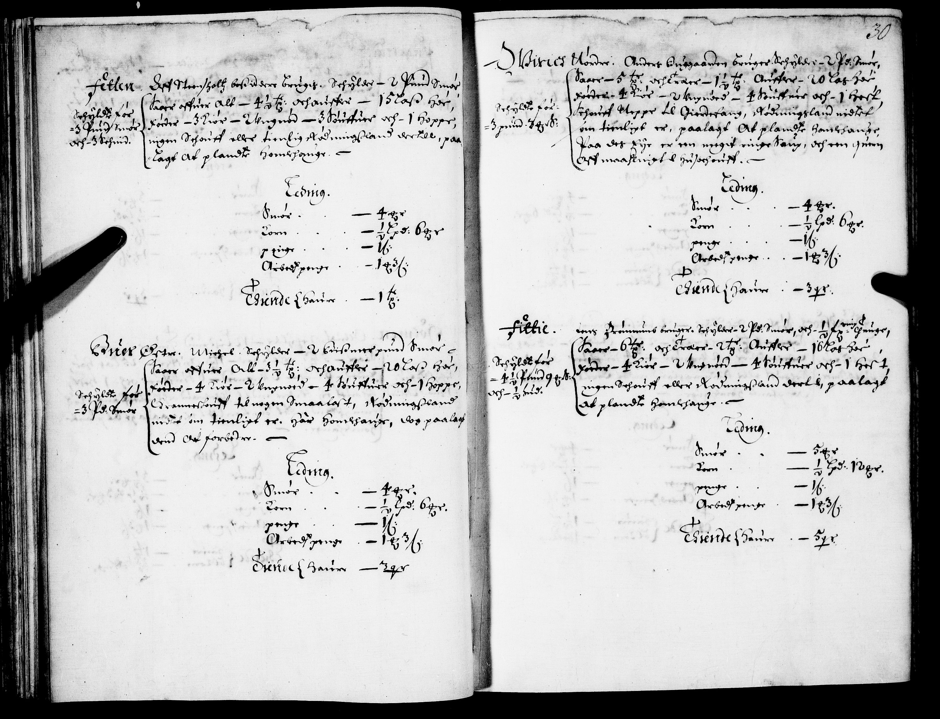 Rentekammeret inntil 1814, Realistisk ordnet avdeling, AV/RA-EA-4070/N/Nb/Nba/L0021: Brunla len, 1667, p. 29b-30a